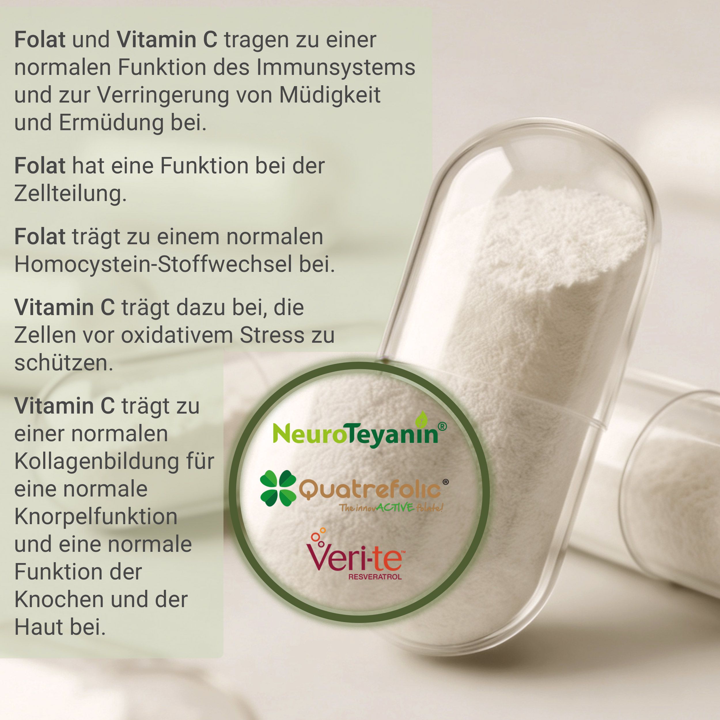 Nahaufnahme einer geöffneten Kapsel Longevity Komplex, gefüllt mit weißem Pulver. Siegel mit Markennamen.