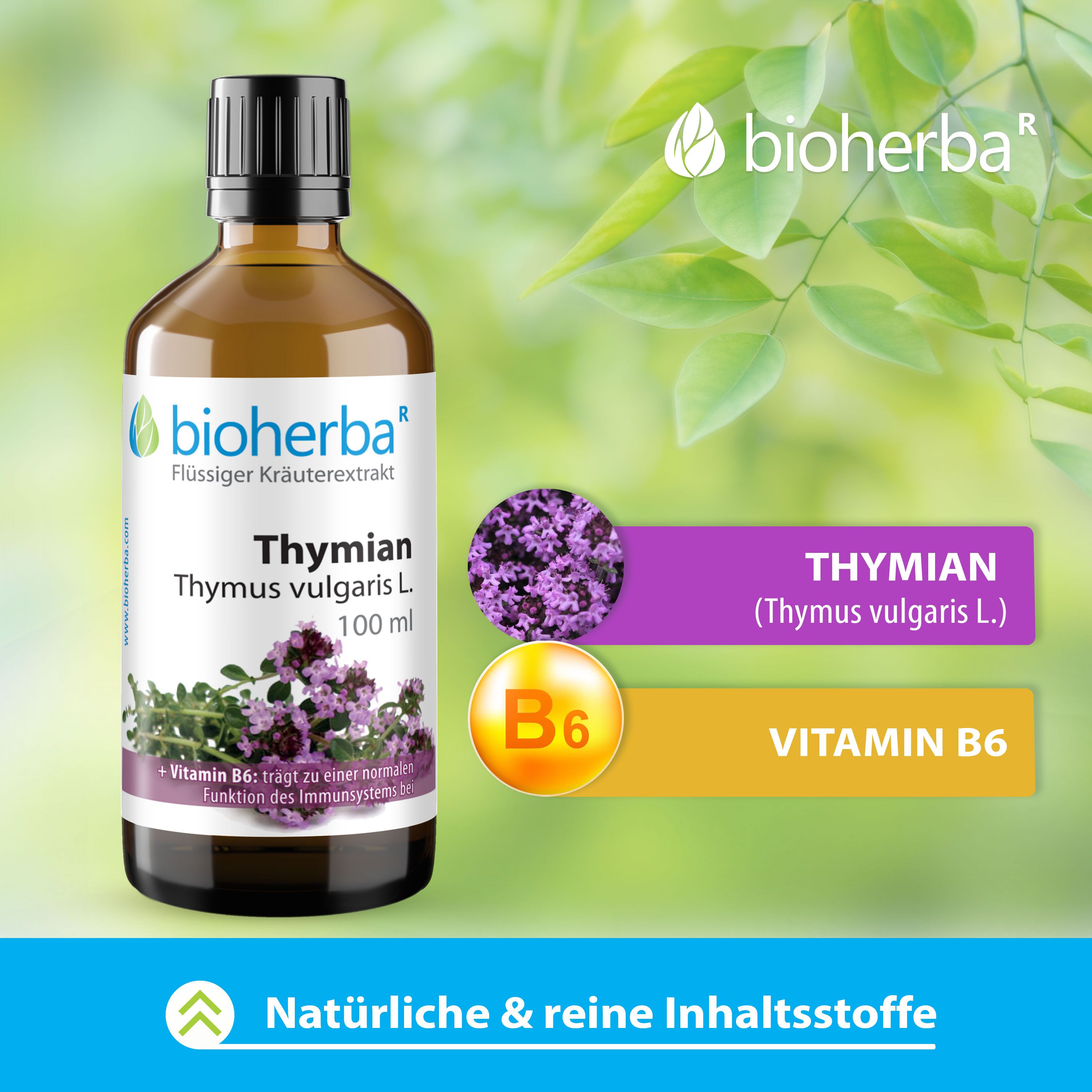 Bioherba Thymian Thymus vulgaris L. Tropfen Tinktur