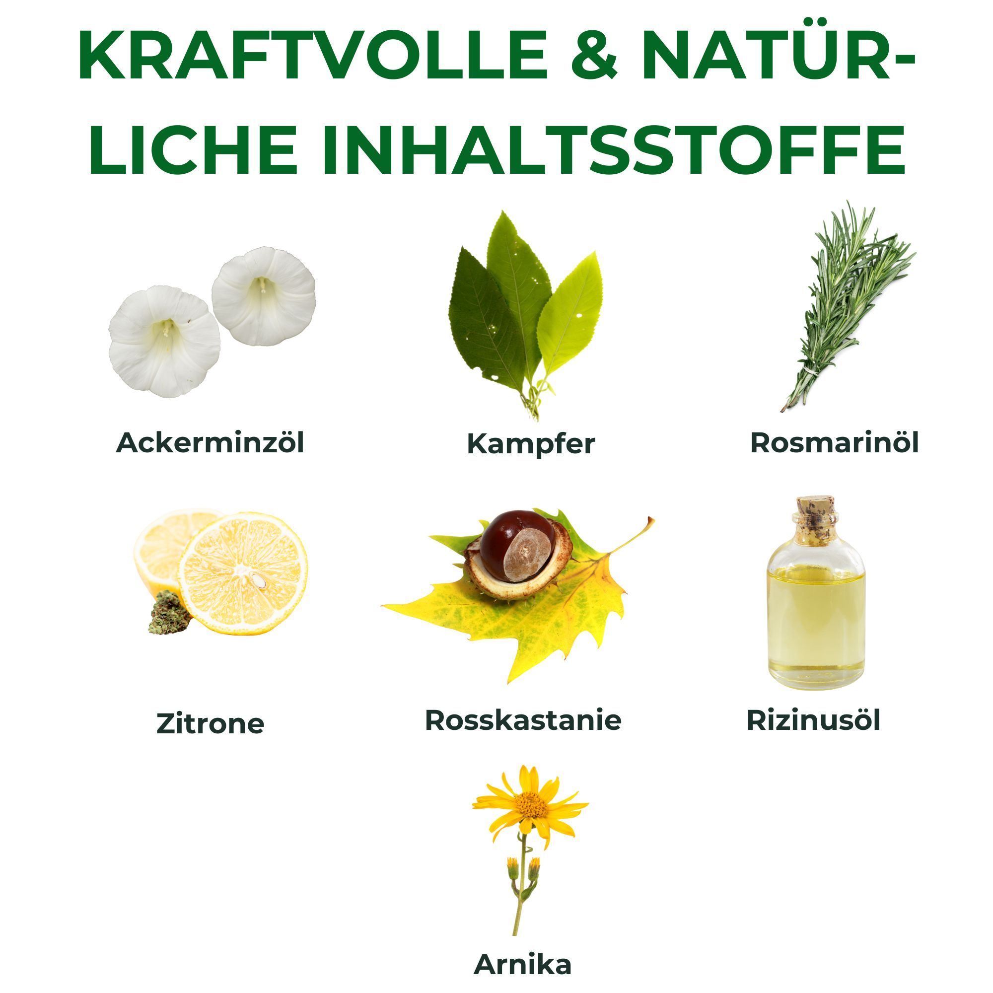 Kräuterhof® Pferdebalsam kühlend