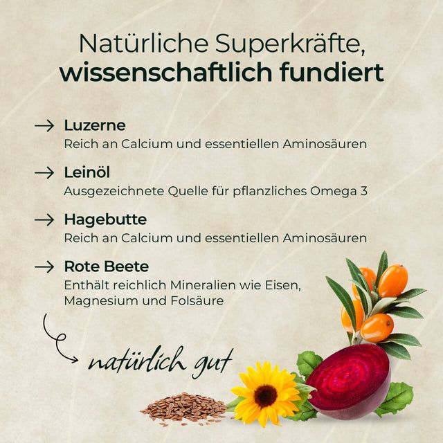 Pferdegold Goldmüsli Natur Pur