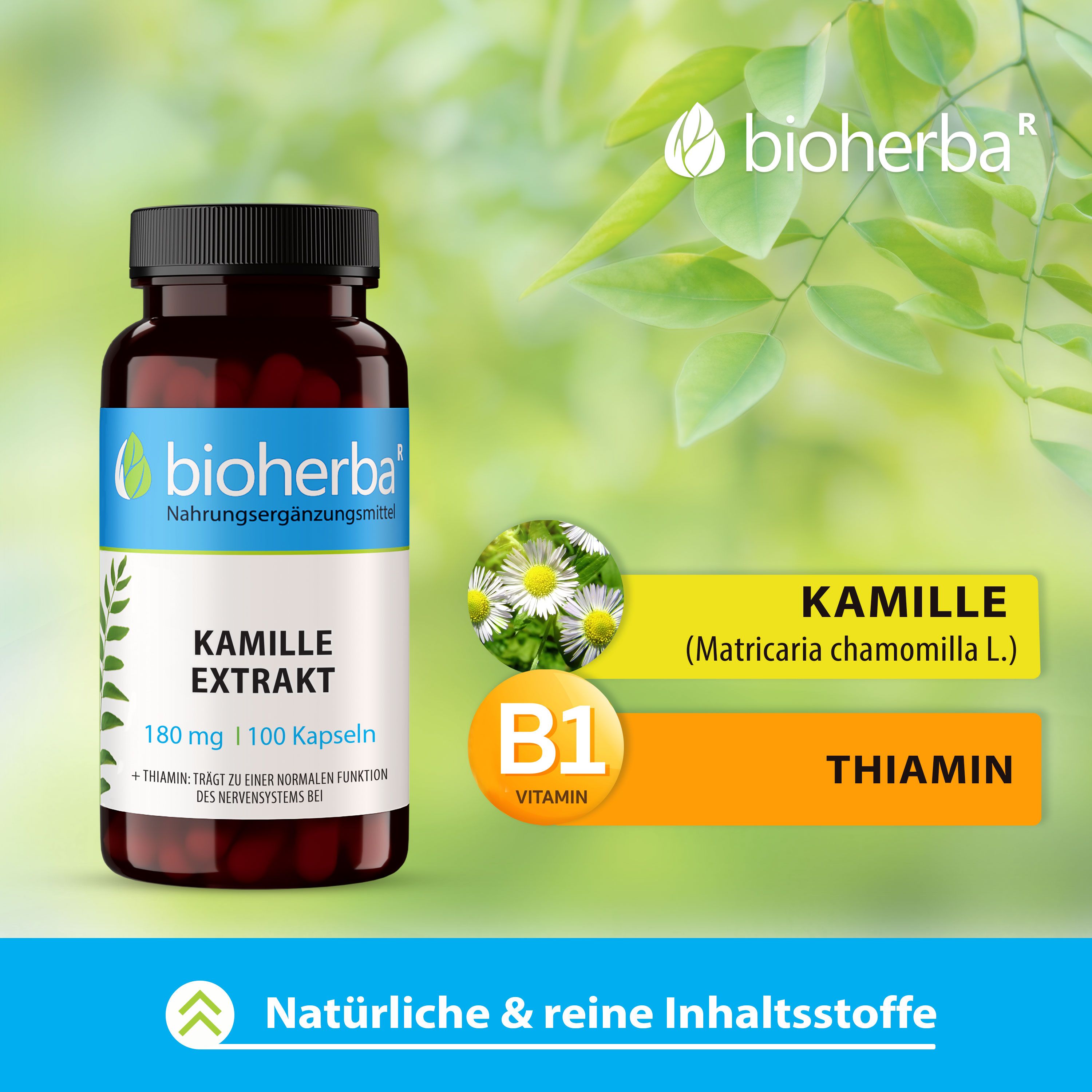 Bioherba Kamille Extrakt Kapseln