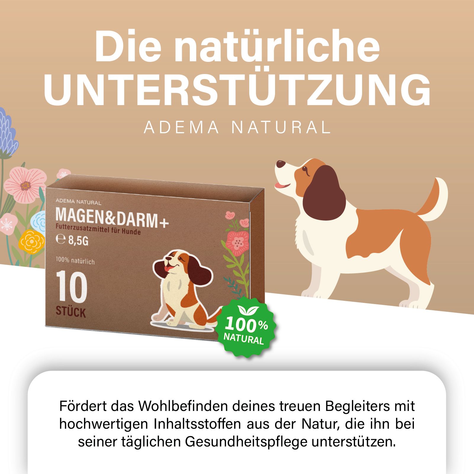 Werbebild mit Schachtel Magen&Darm+ und Hund. Text: Die natürliche Unterstützung. 100% natürlich. Text über Gesundheit.