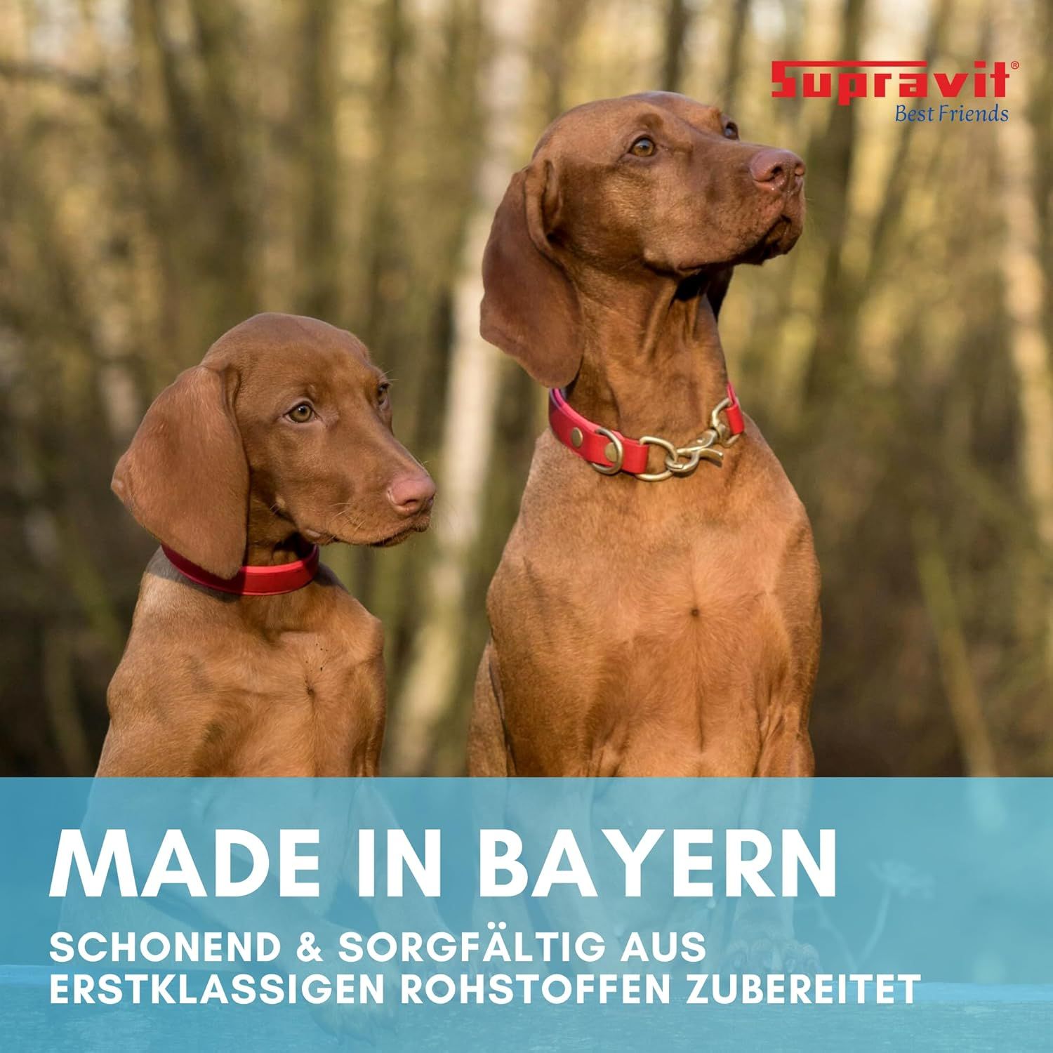 Zwei Hunde mit roten Halsbändern. Text: Made in Bayern. Schonend & sorgfältig aus erstklassigen Rohstoffen zubereitet.