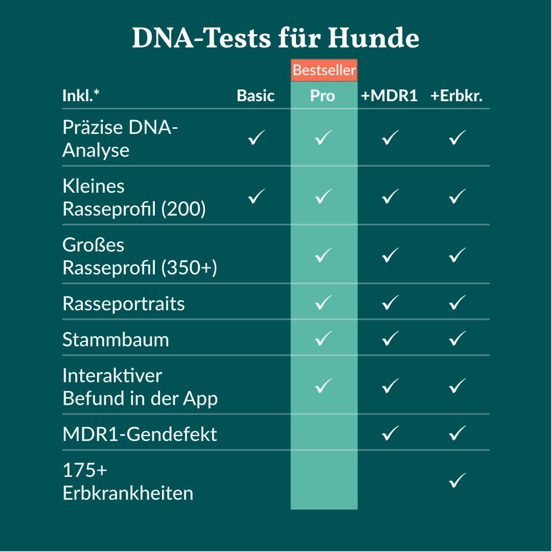vetevo DNA Test Pro Hund: Erst testen, dann handeln. Ergebnis per App.