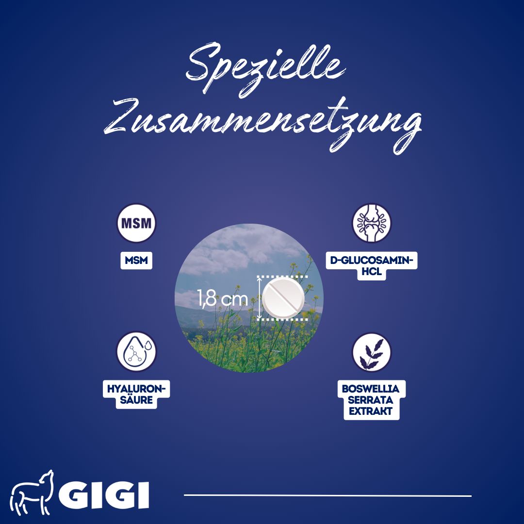 GIGI VET Aktive Hunde Gelenke & Knochen