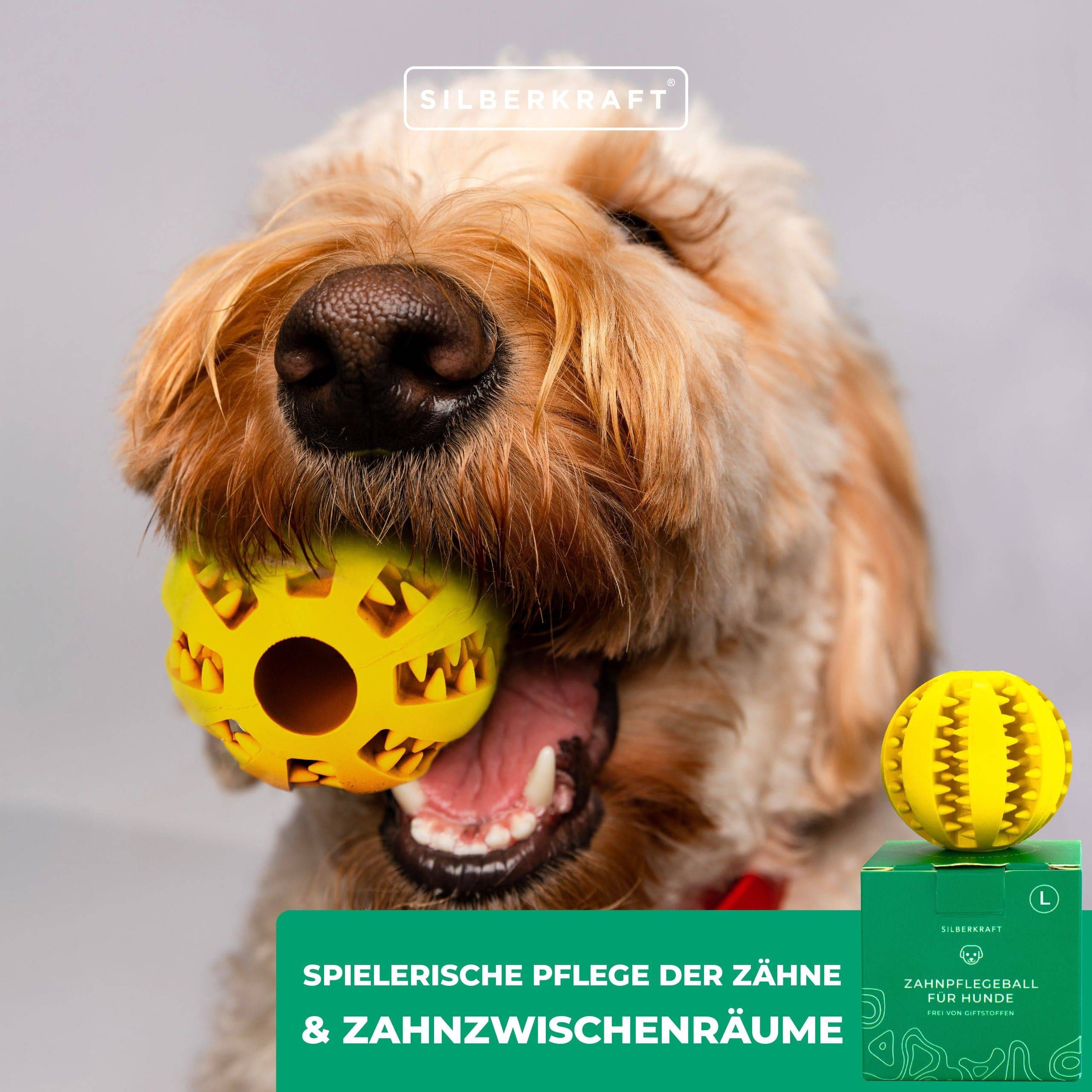 SILBERKRAFT Zahnpflegeball für Hunde - Groß