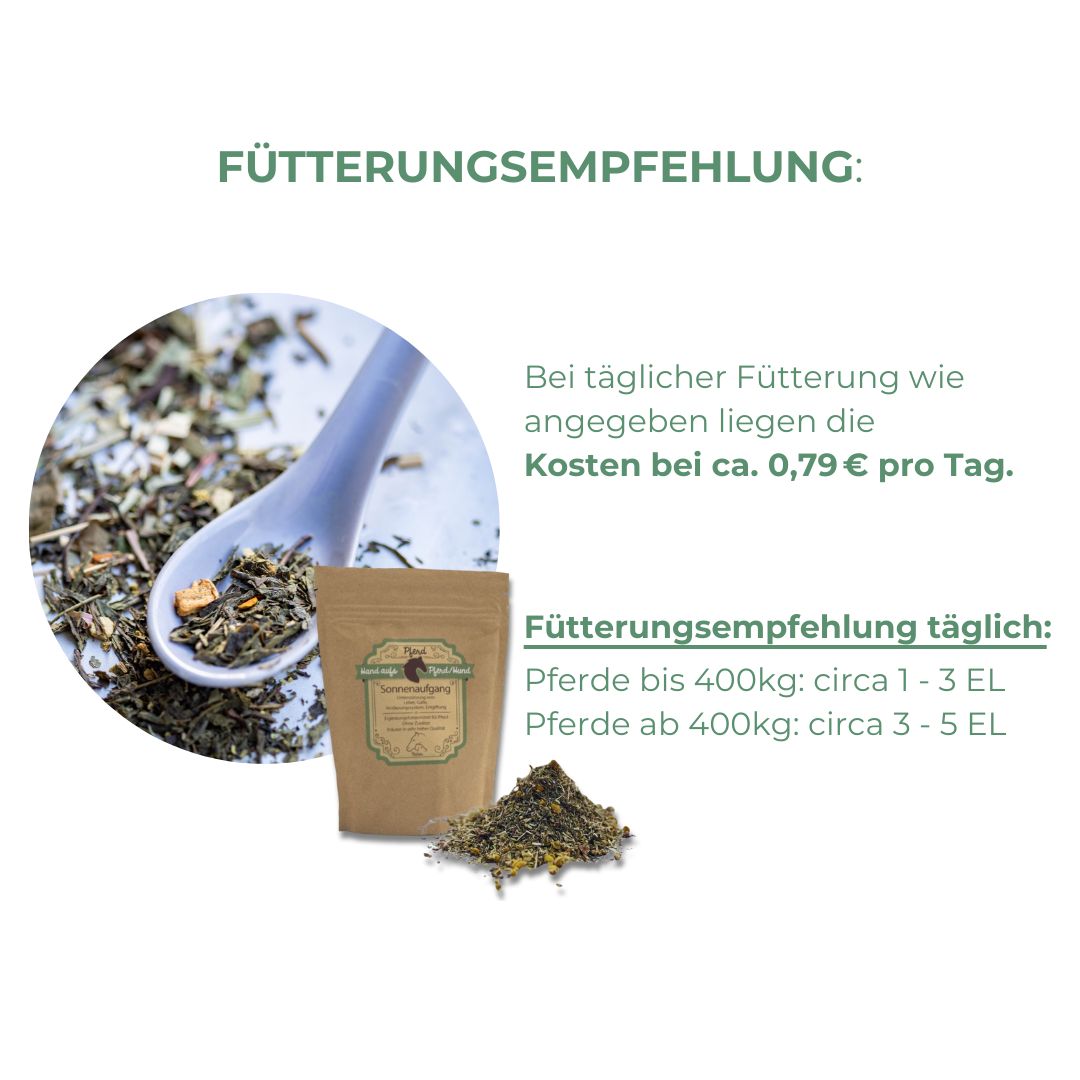 Löffel mit Kräutern neben Beutel "Hand aufs Pferd/Hund Sonnenaufgang" und Kräutermischung. Text: Fütterungsempfehlung.
