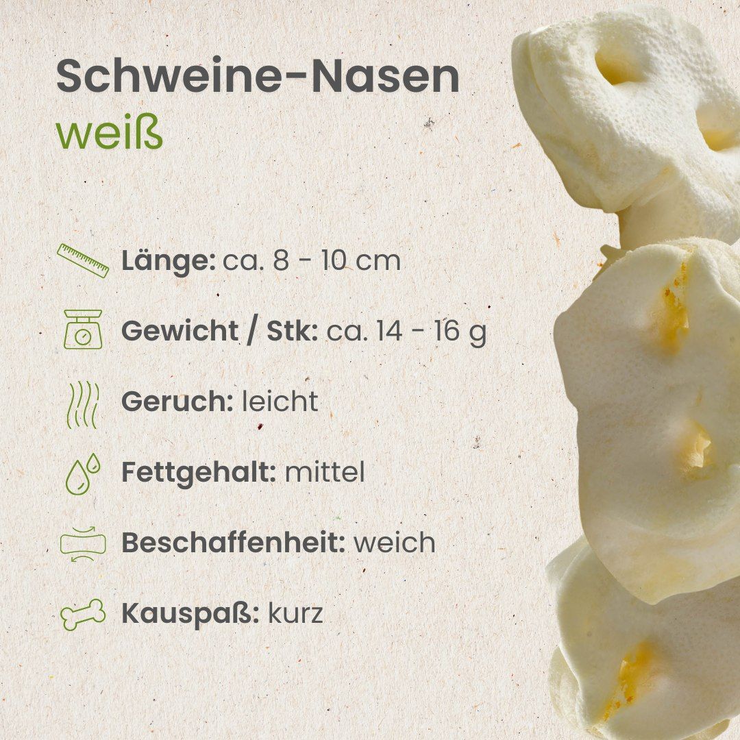 Drei getrocknete, braune Schweine-Nasen mit leichter Krümmung.