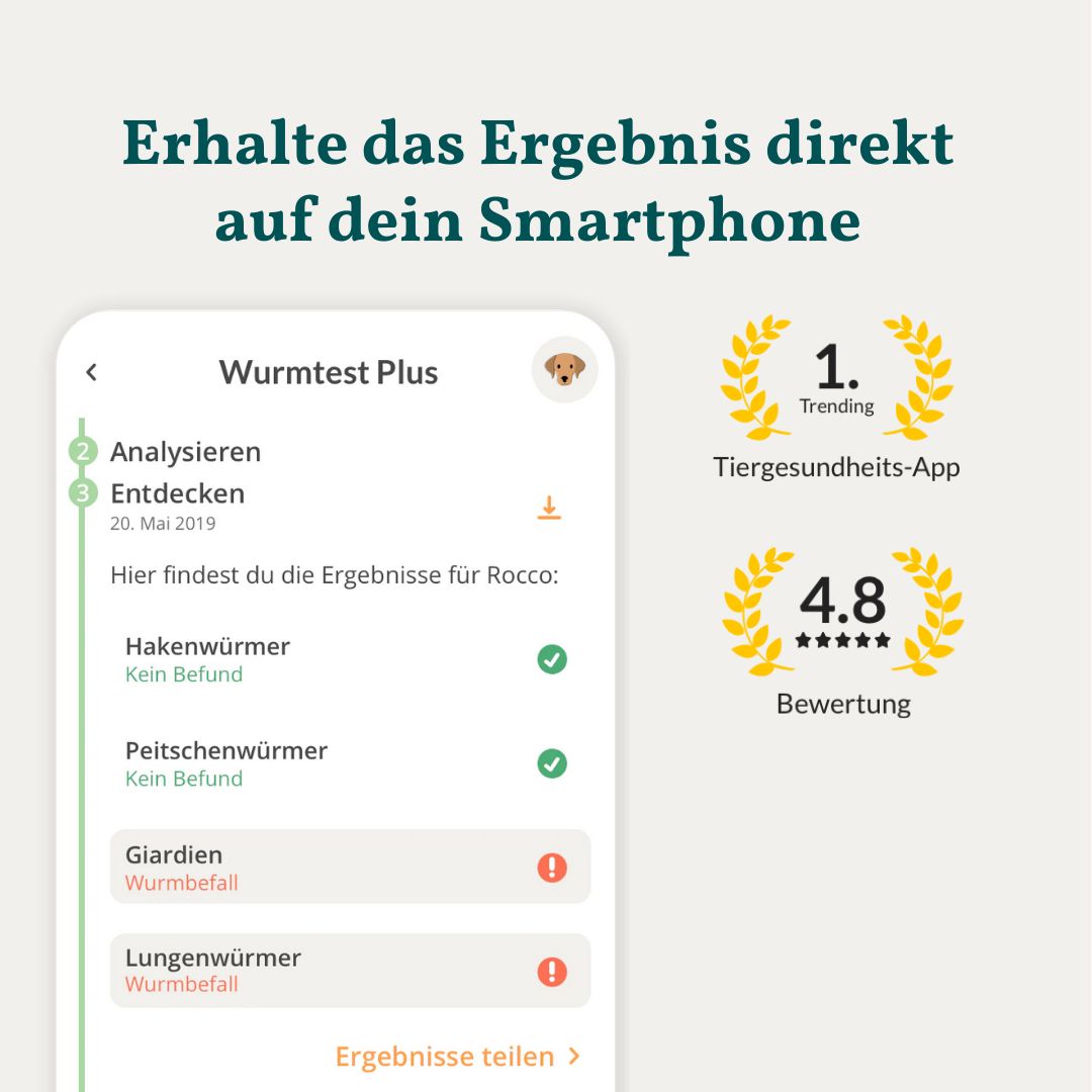 App-Ansicht von Wurmtest Plus mit Ergebnissen für Haken-, Peitschen-, Giardien- und Lungenwürmer.