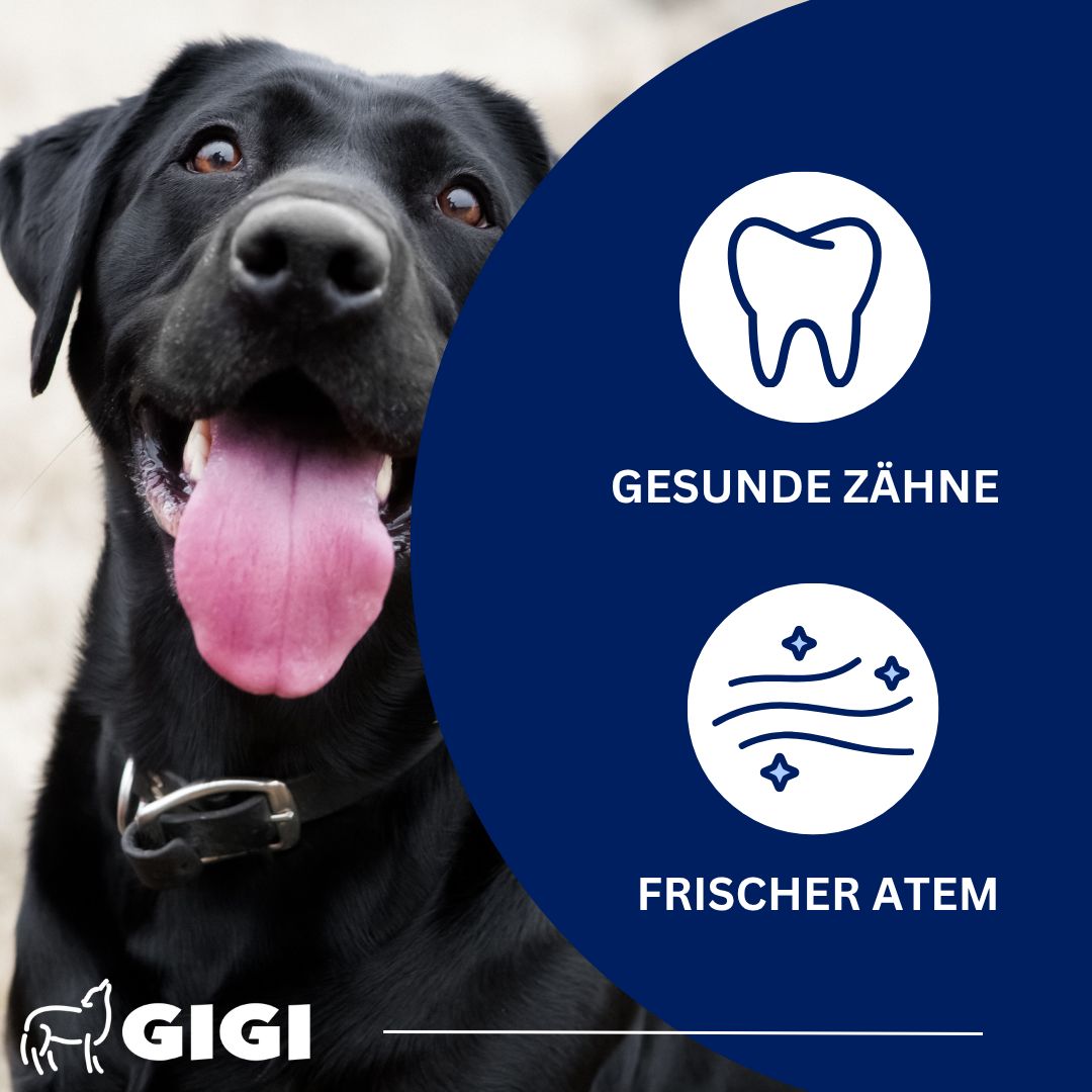 Schwarzer Hund mit Zunge. Icons für gesunde Zähne und frischen Atem.