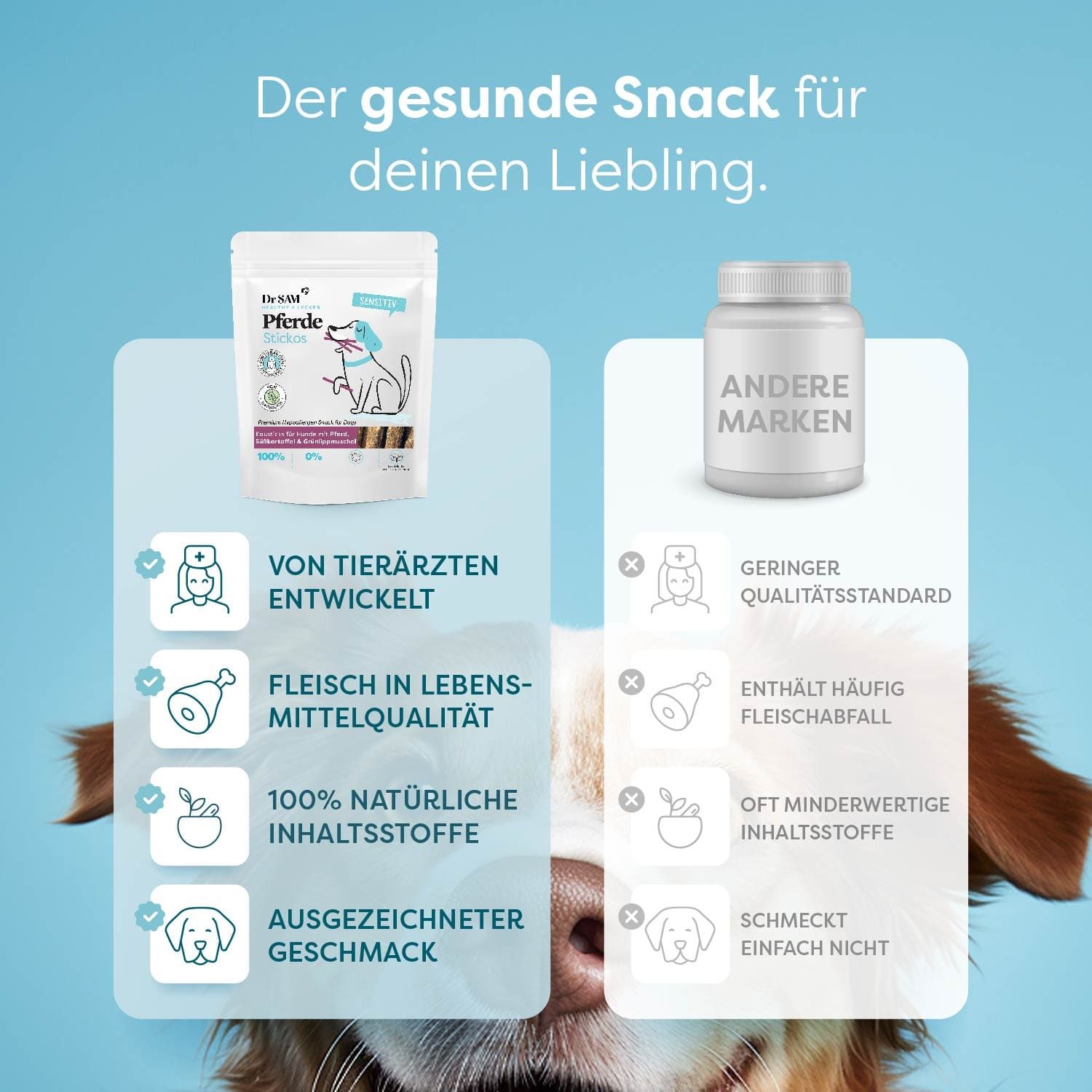 Dr. SAM Pferde Stickos für Hunde
