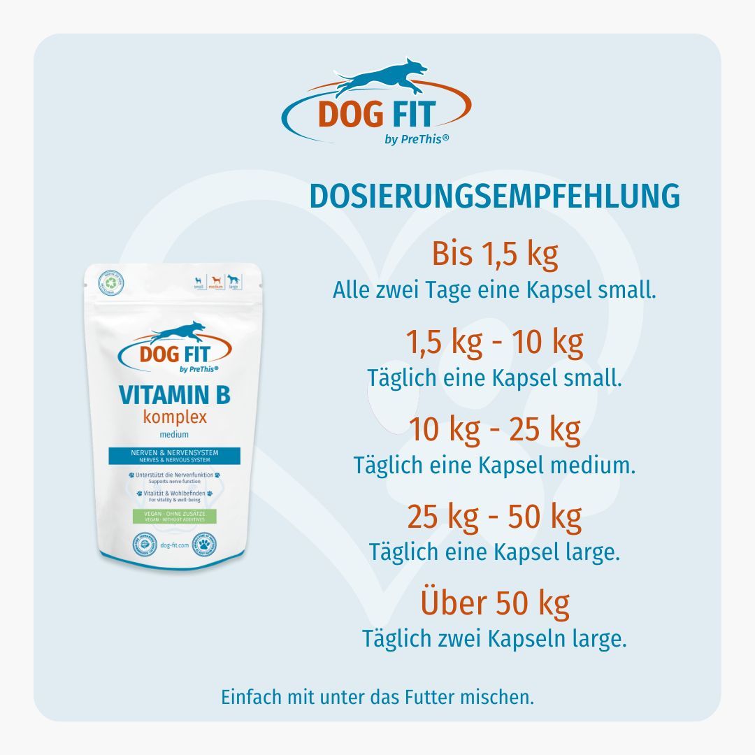 DOG FIT by PreThis® JOINTS & VITAMIN B Kombiset (medium)