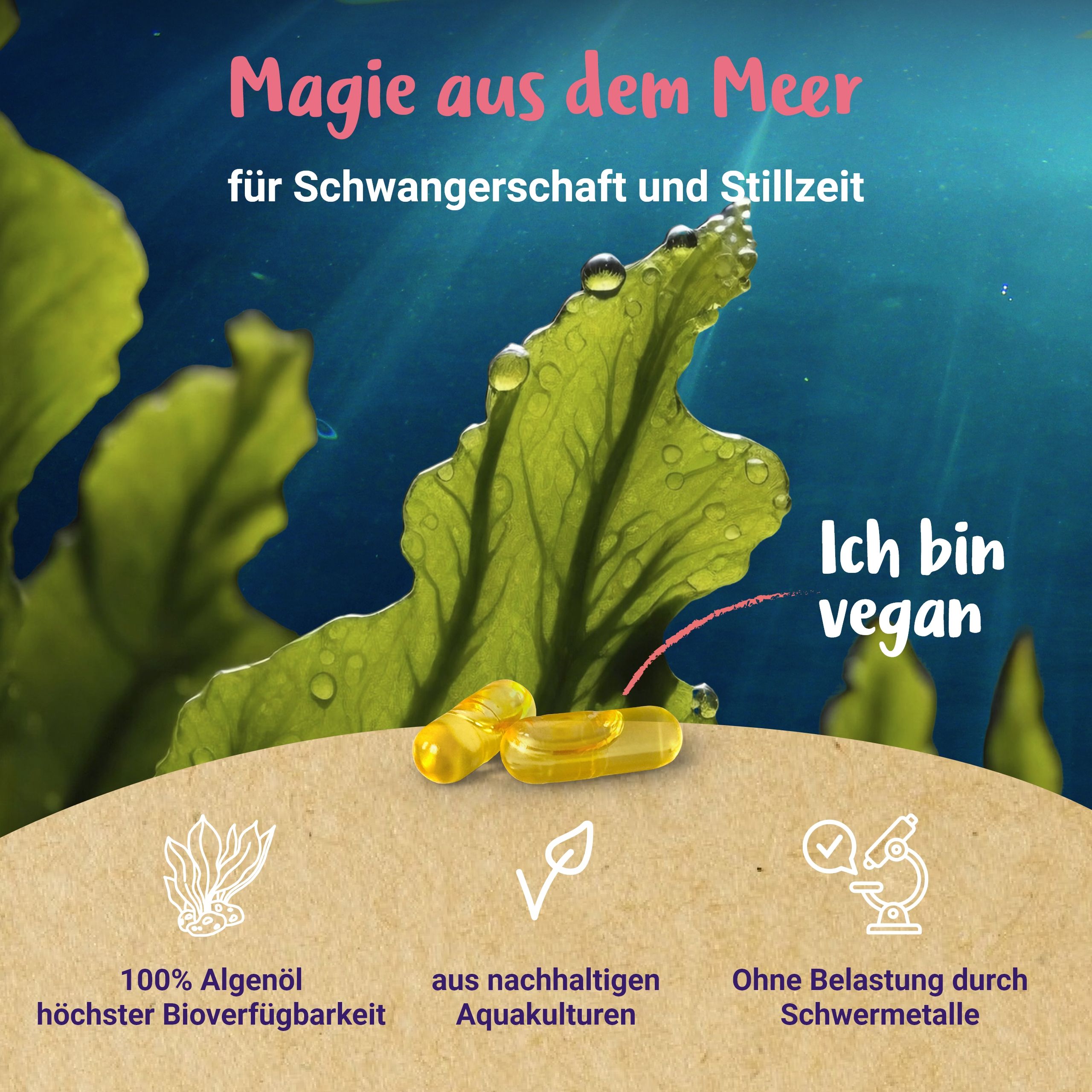 Omega 3 vegan aus Algenöl - von PregniVital® 36 g Kapseln