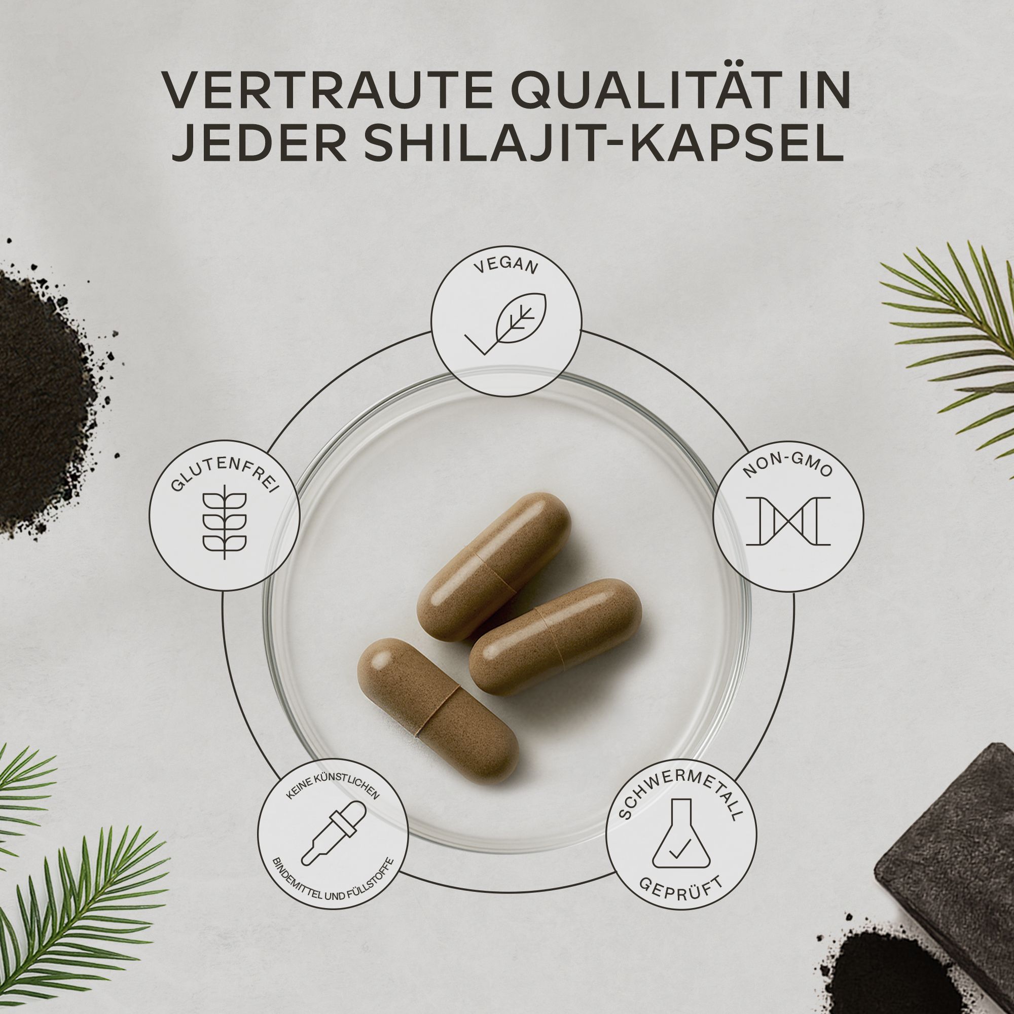 Nahaufnahme von Kapseln. Text: Glutenfrei, Vegan, Nicht-GVO, ohne Konservierungsstoffe.