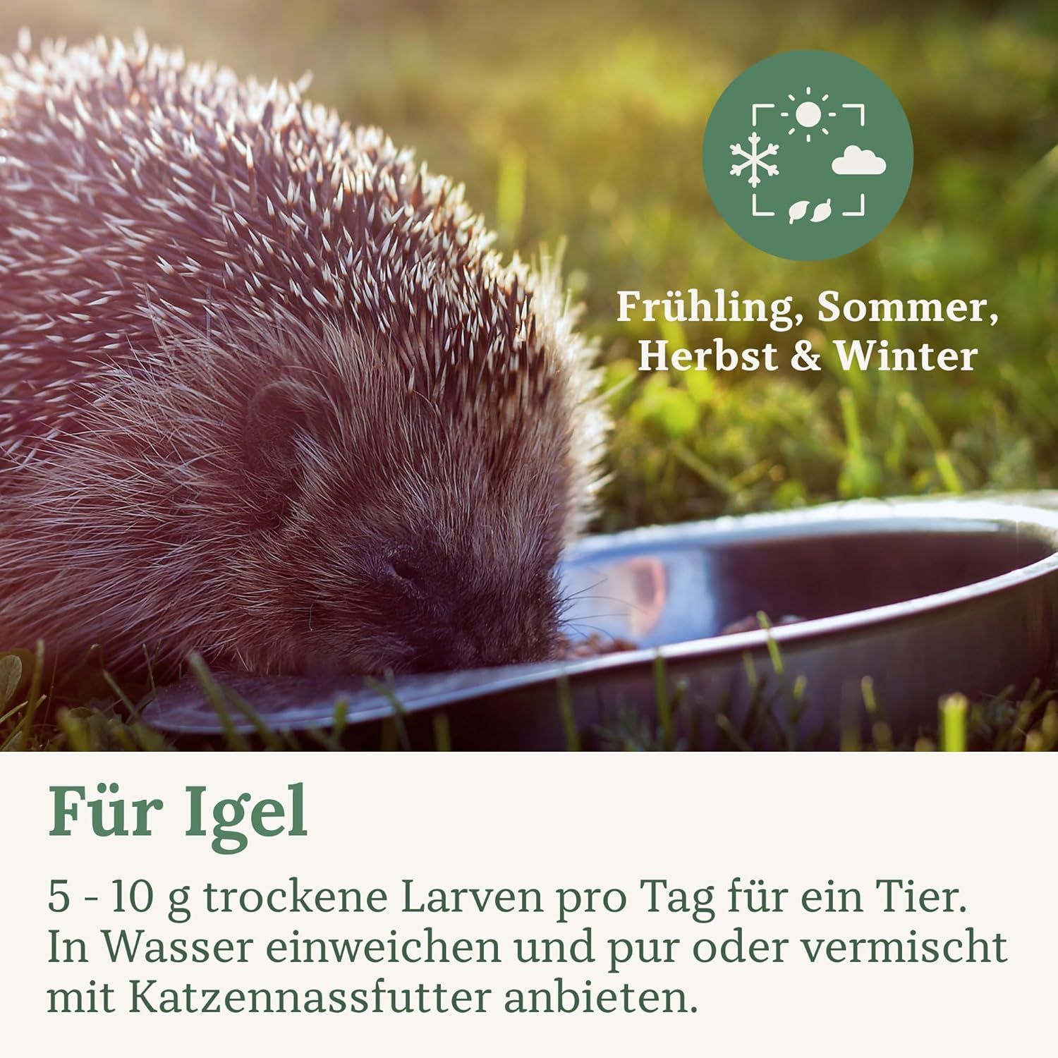 Orni Mehlwürmer getrocknet | Premium Insektenfutter für Wildvögel, Igel & Eichhörnchen