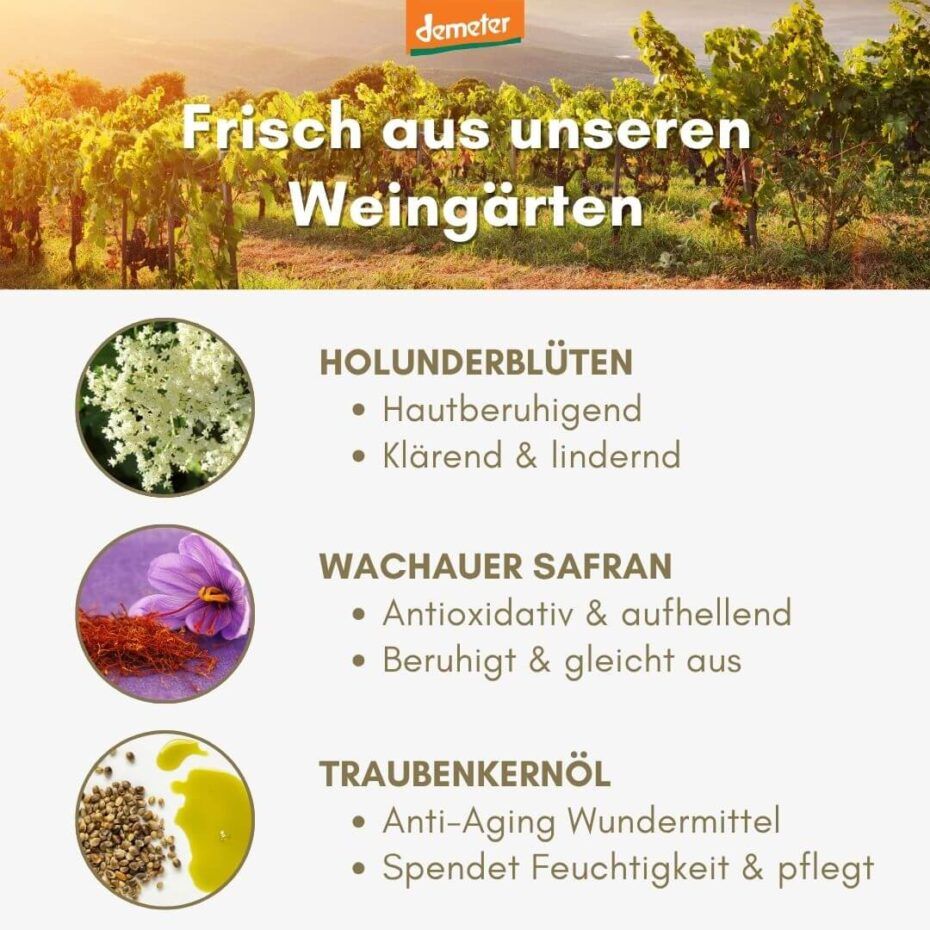 Text mit Holunderblüten, Wachauer Safran und Traubenkernöl. Demeter-Logo. Hintergrund: Weinberge.