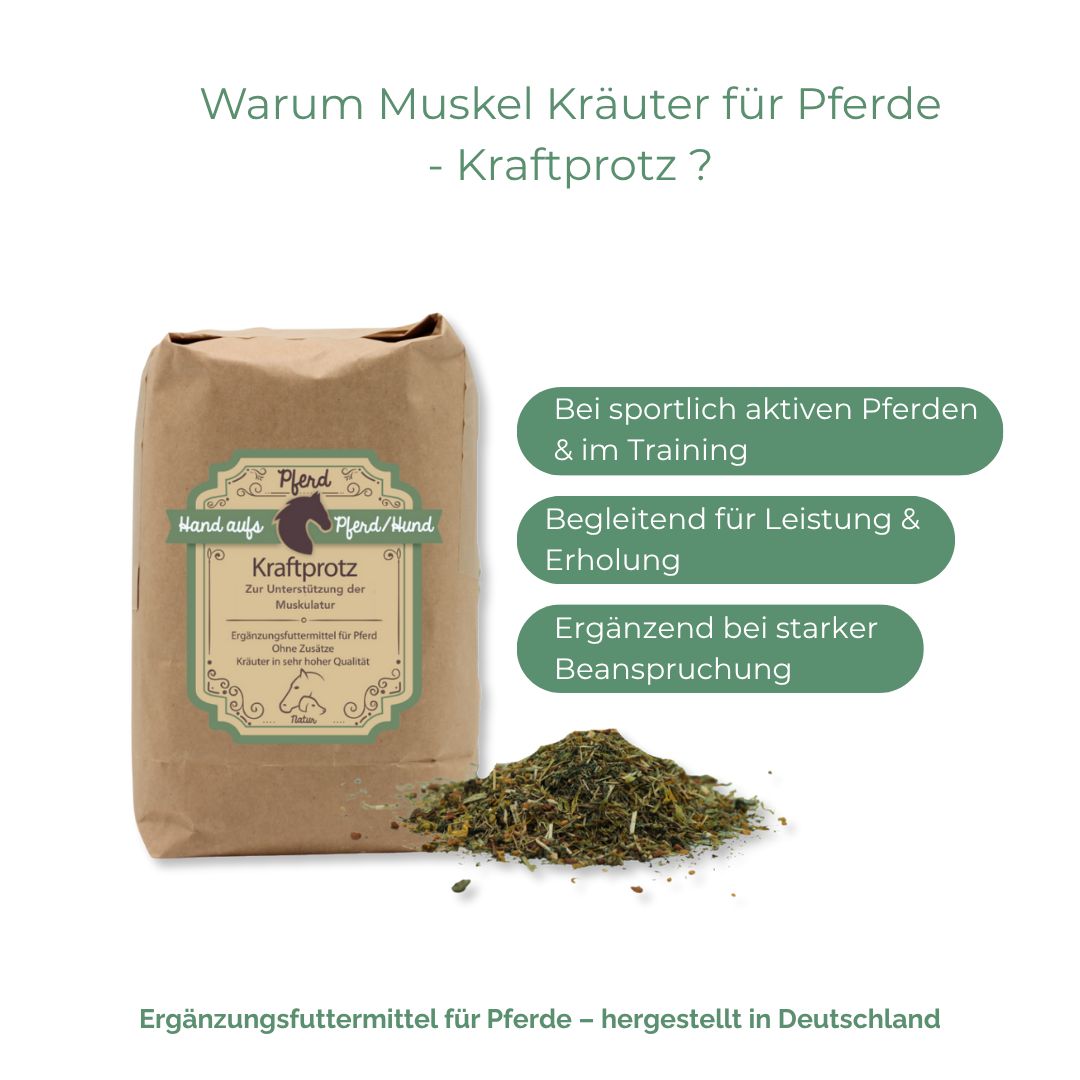 Braune Papiertüte mit Produktetikett und Kräutermischung. Text: Hand aufs Pferd/Hund, Kraftprotz, Ergänzungsfuttermittel für Pferde.