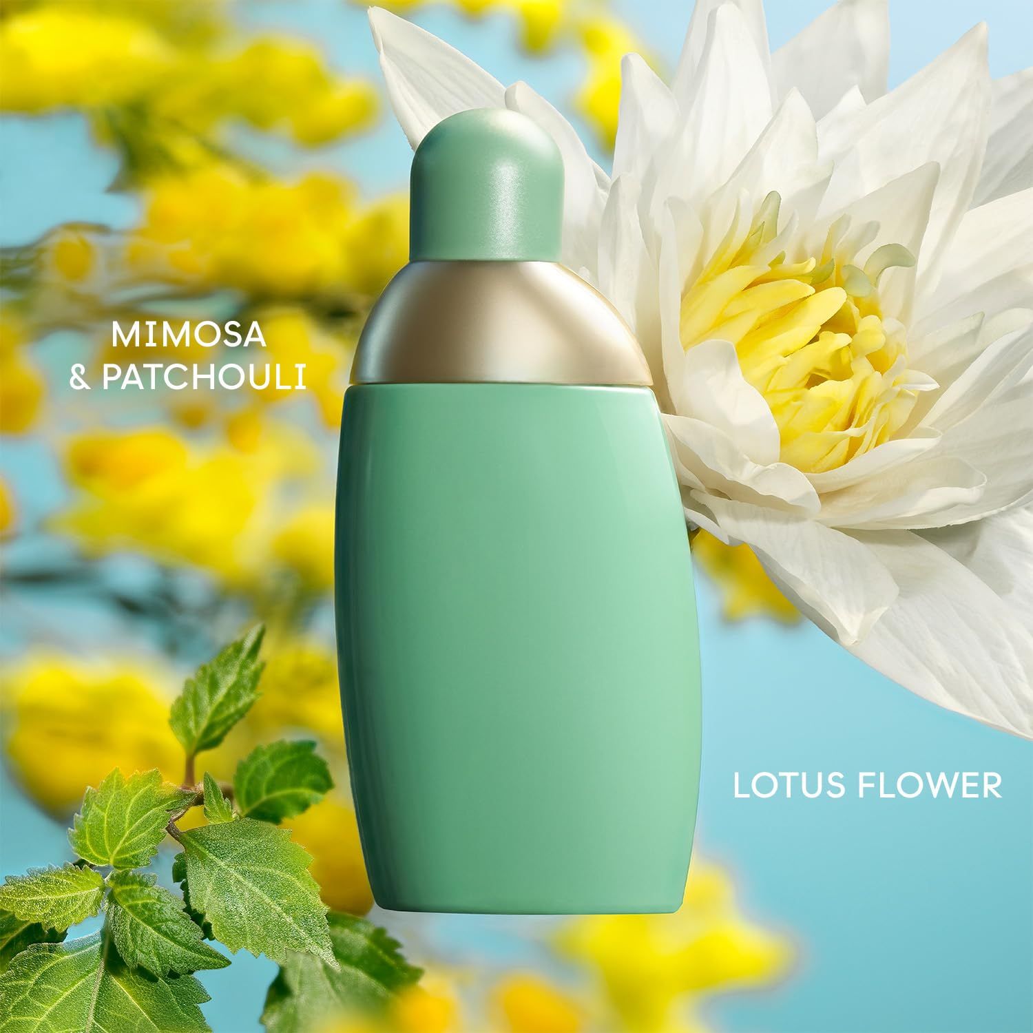 Grüne Flasche mit goldfarbenem Akzent. Grüner Verschluss. Text: Mimosa & Patchouli, Lotus Flower. Hintergrund: Blumen.