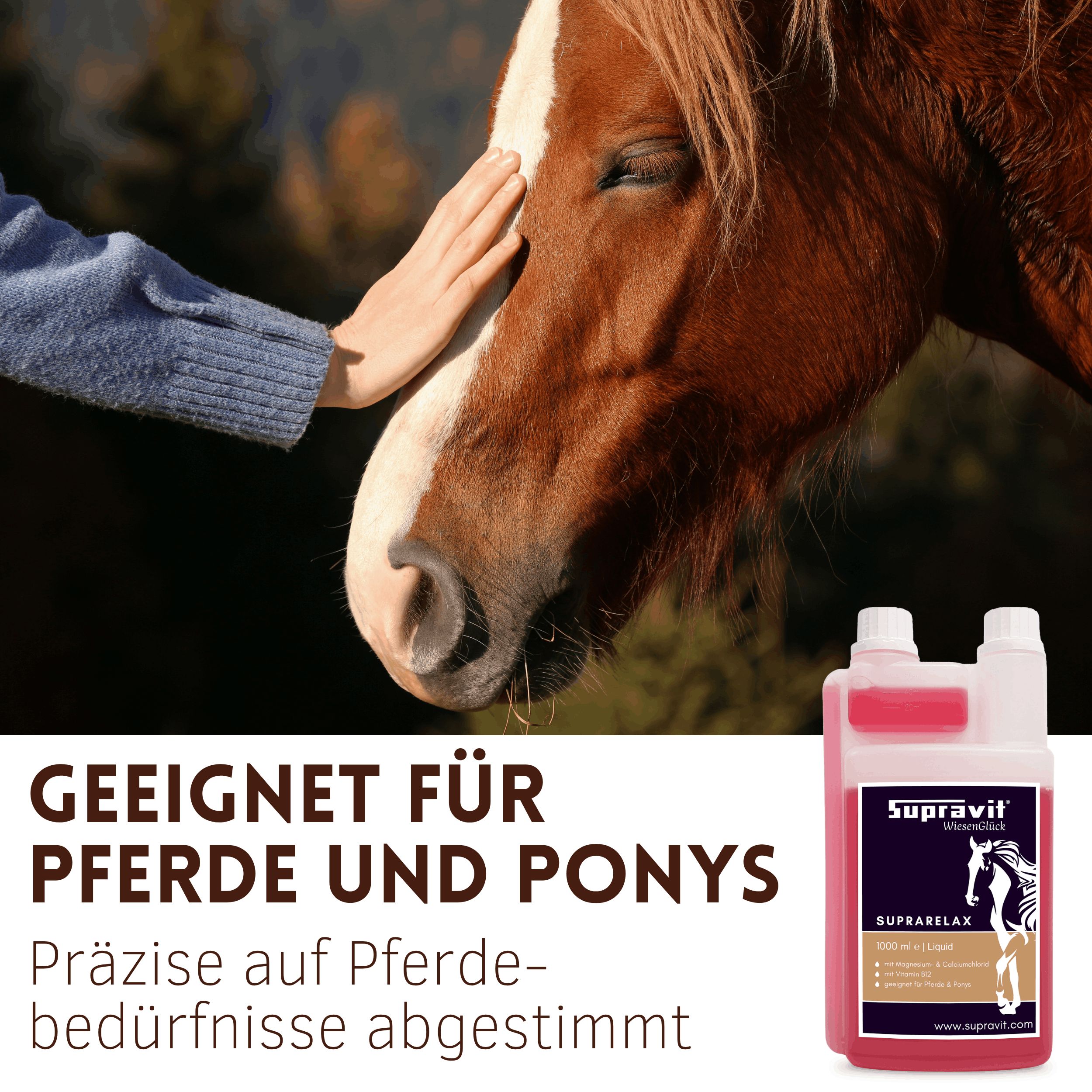 Hand berührt Pferd. Rechts das Produkt: Supravit SupraRelax, Flüssigmagnesium mit B12. Aufschrift: Geeignet für Pferde und Ponys.