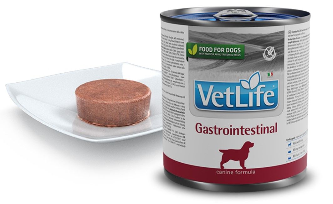 Hundefutterdose und Futter auf Teller. "VetLife Gastrointestinal" und Logo. Futter in Scheiben.