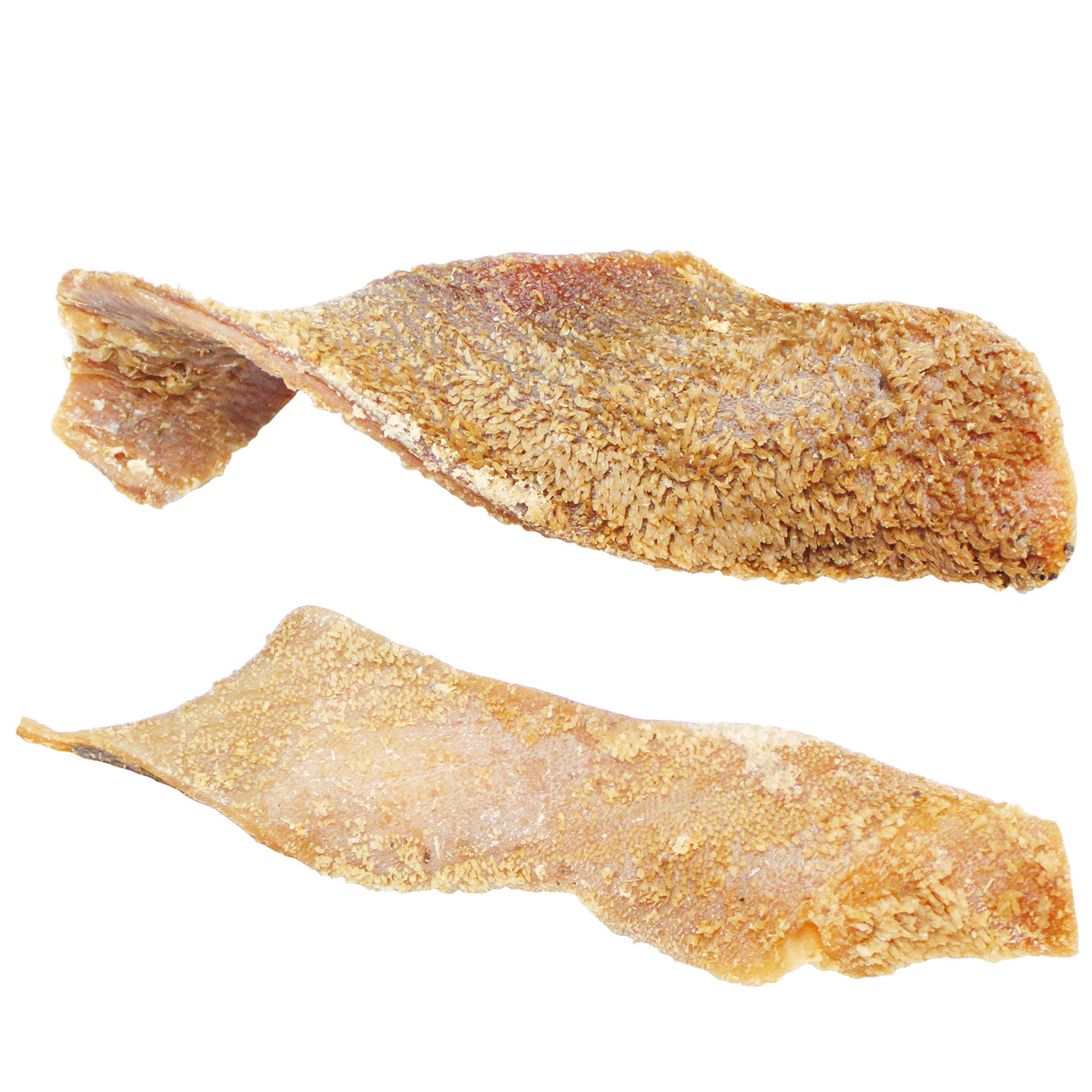 Schecker weißer Pansen
