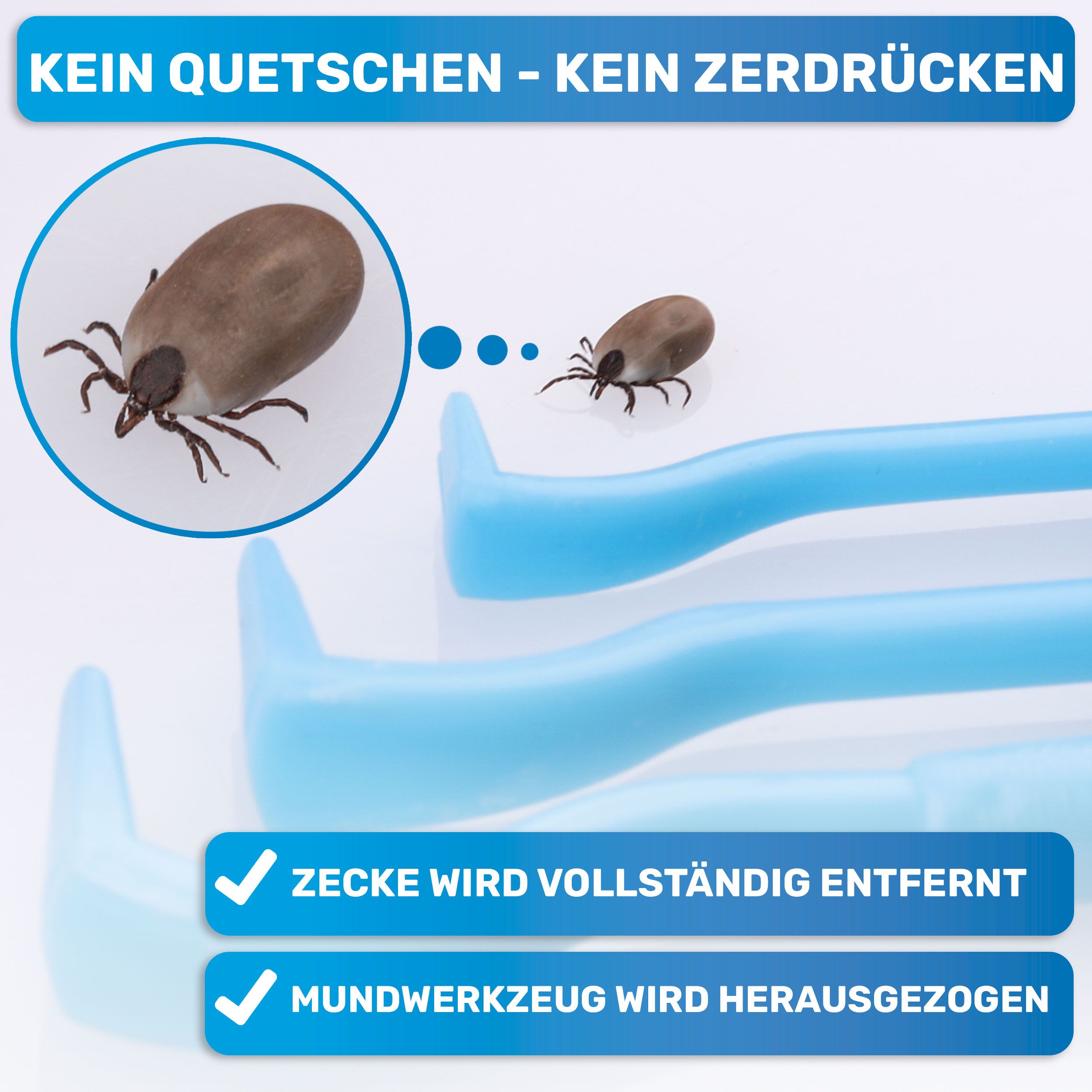 BluePet 3er Set Zeckenhaken als Zeckenentferner