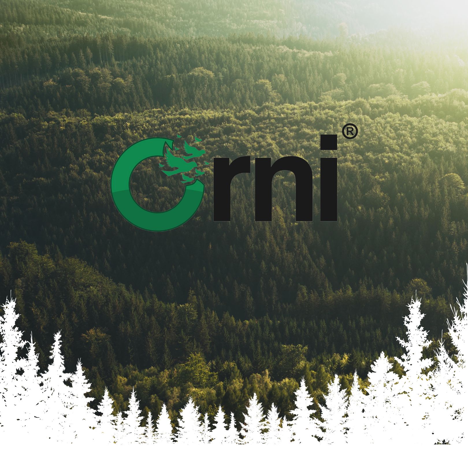 Logo von Orni auf einem Hintergrund aus Wald und Bäumen. Grünes Logo mit Schriftzug.
