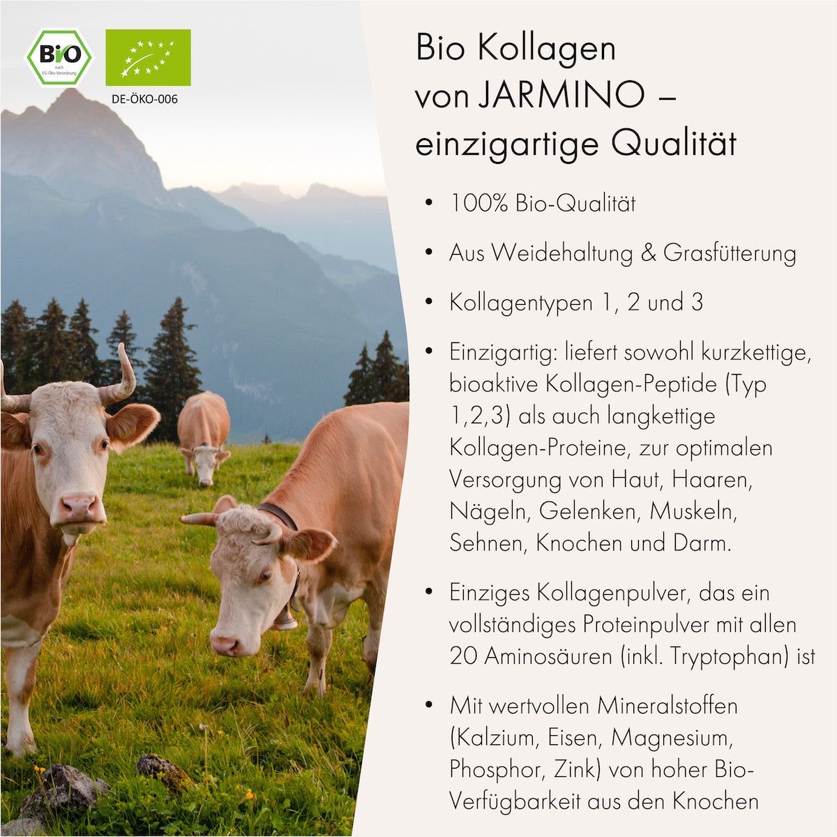 JARMINO Bio Collagen