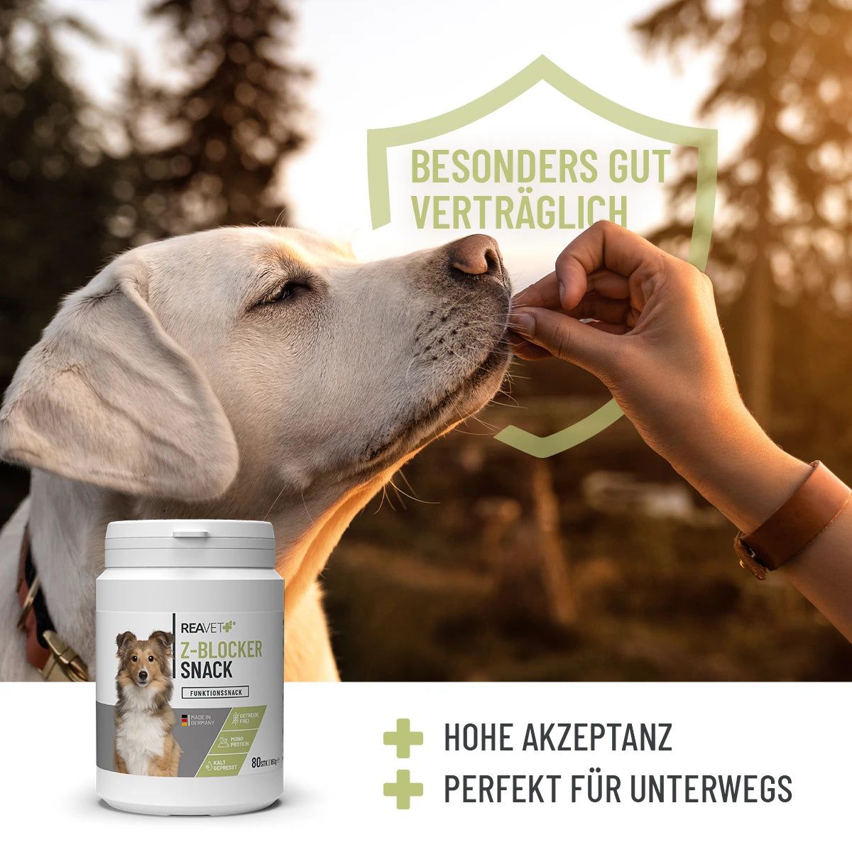 Weiße Dose "ReaVET Z-Blocker Snack". Hund bekommt Snack. Text: "Besonders gut verträglich". Logo: Pluszeichen.