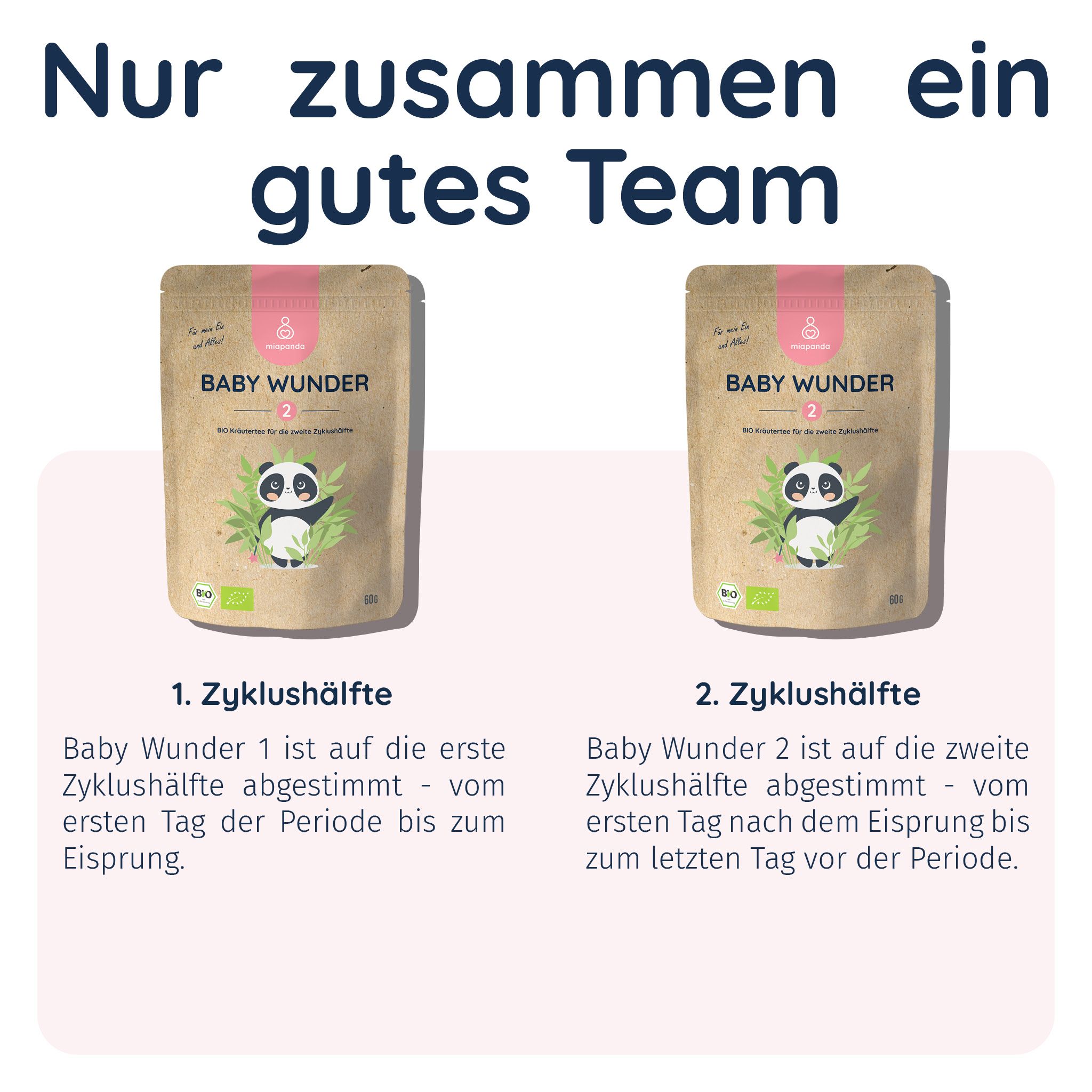 Zwei Beutel Baby Wunder 2. Text: Baby Wunder 1 für die erste Zyklushälfte, Baby Wunder 2 für die zweite Zyklushälfte.