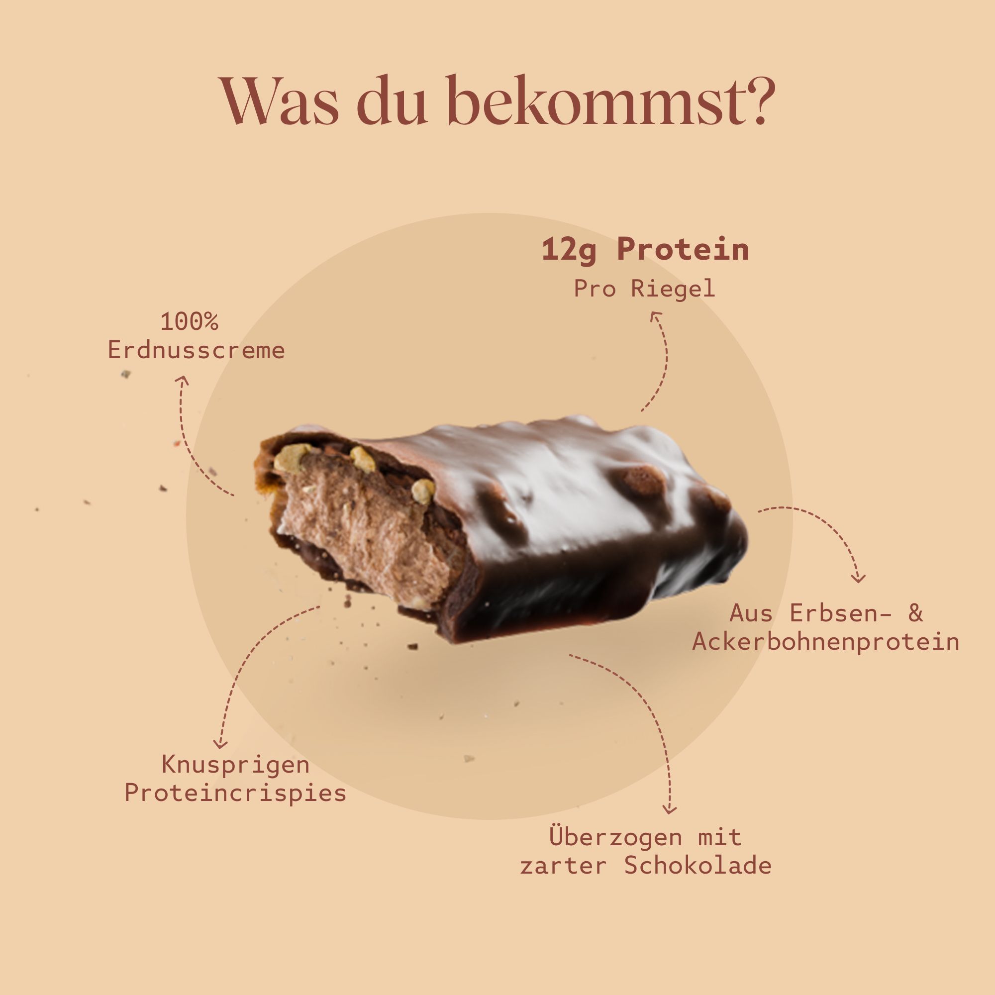 Proteinriegel-Hälfte. 12g Protein pro Riegel. Knusprige Proteincrispies, überzogen mit Schokolade. Aus Erbsen- und Ackerbohnenprotein.