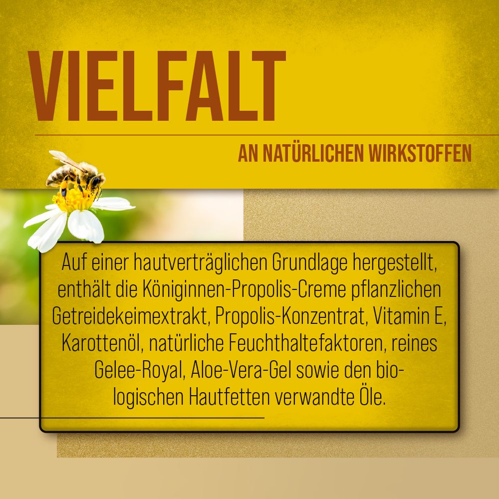 Sanct Bernhard Königinnen Propolis Creme