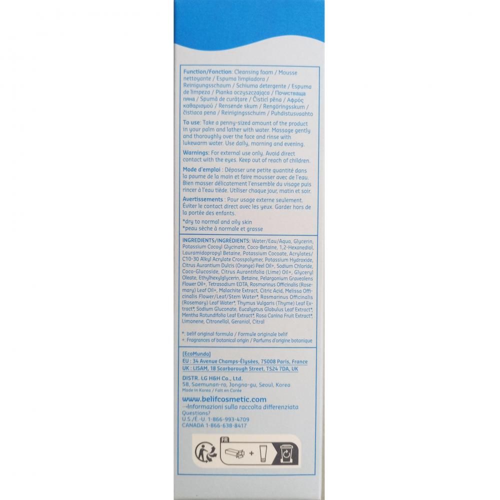 Rückseite einer Produktverpackung für Reinigungsschaum mit Anweisungen und Inhaltsstoffen.