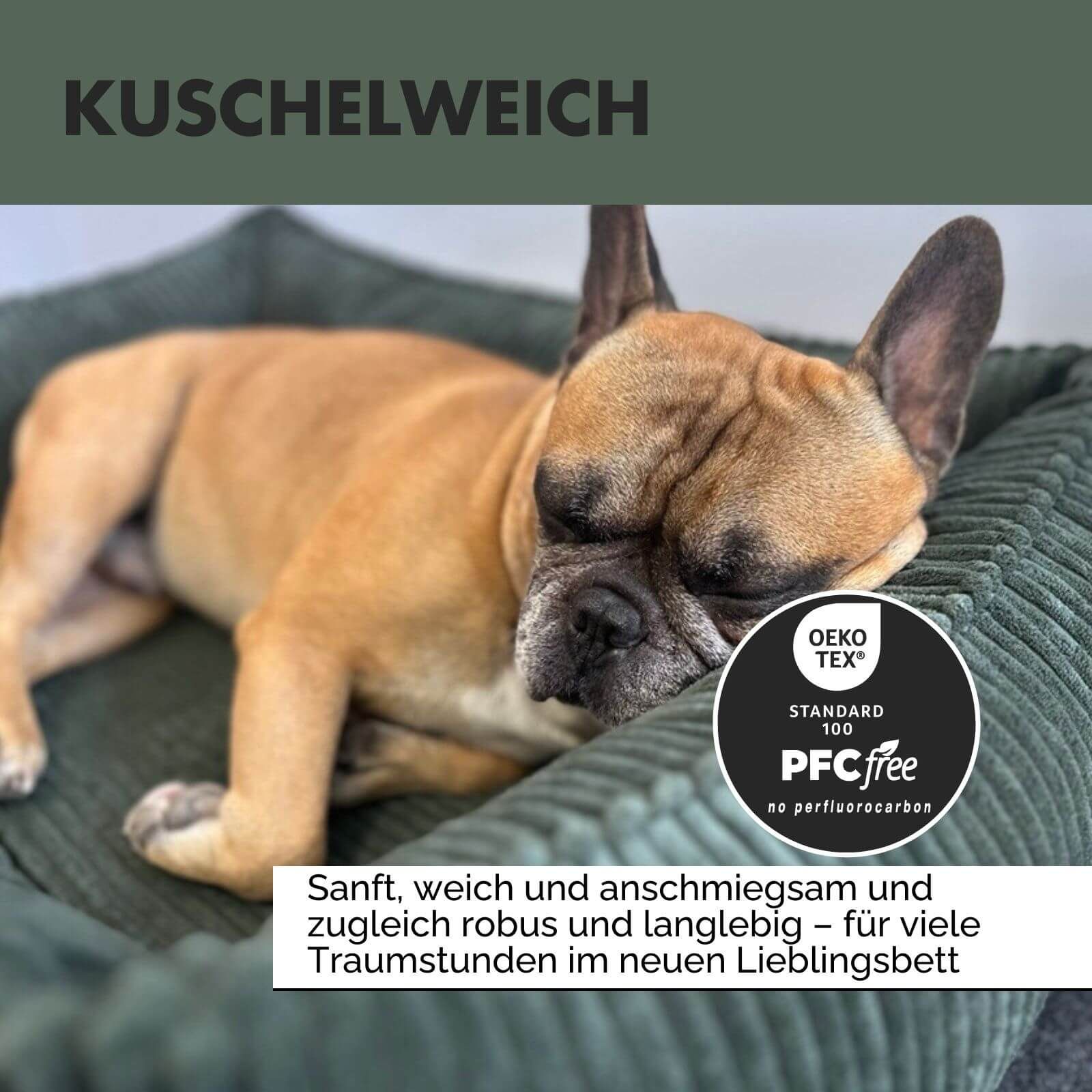 Hundebett mit Cordstruktur und einem schlafenden Hund. Text: Kuschelig weich. Oeko-Tex Standard 100 Zertifizierung.