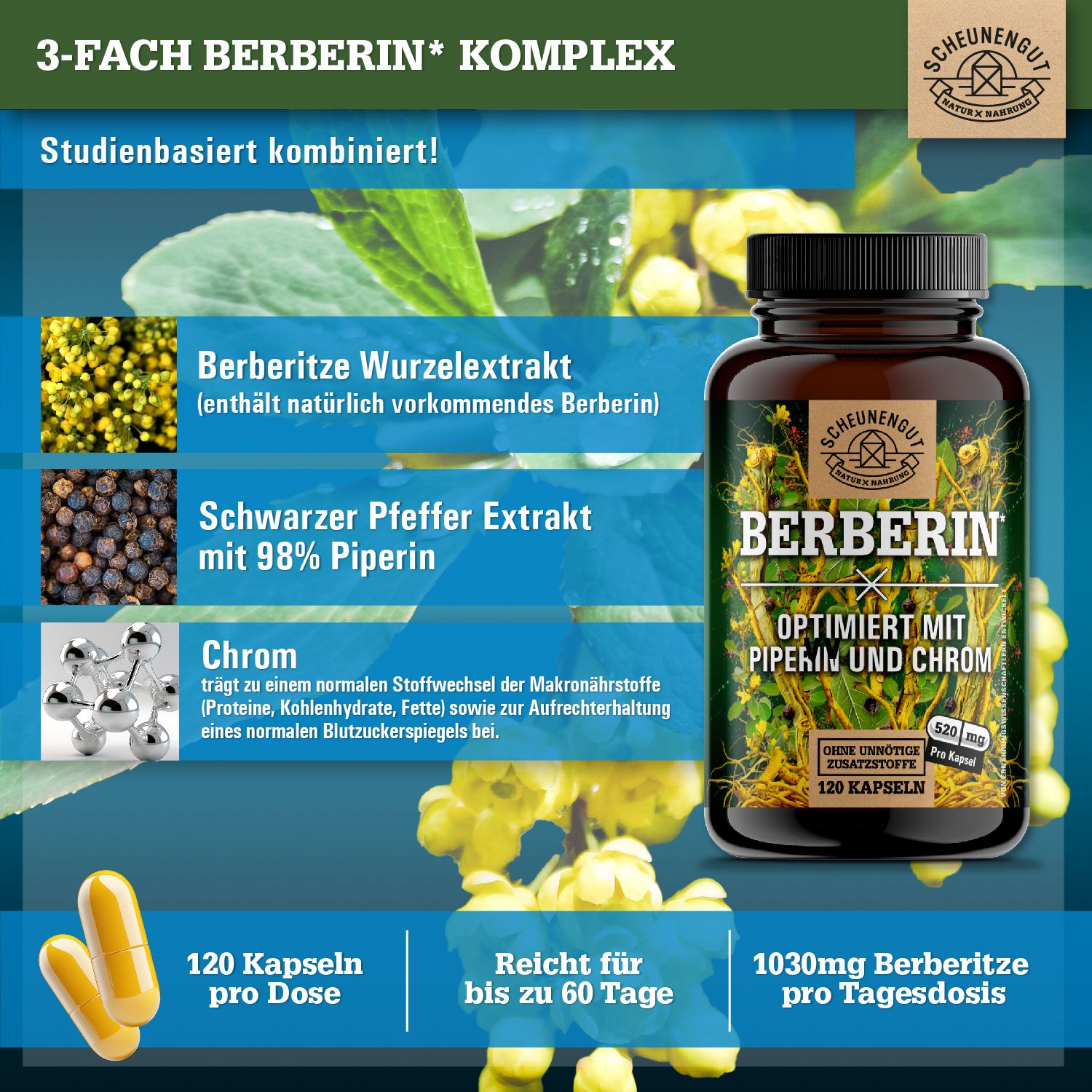 Scheunengut® Berberin | Berberis aristata Extrakt 20:1 optimiert mit Piperin & Chrom