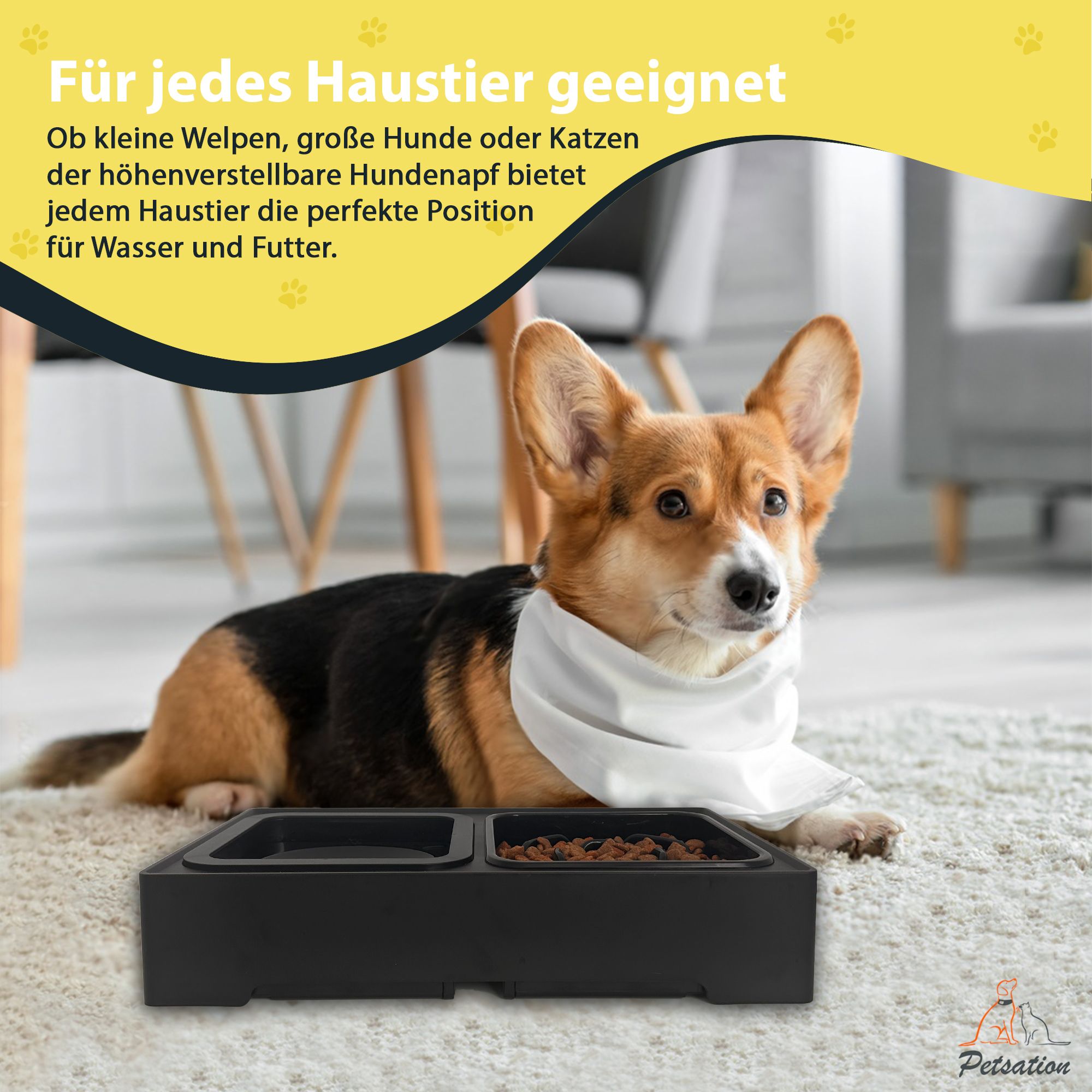 PETSATION erhöhter Hundenapf AntiSchling (Hunde)