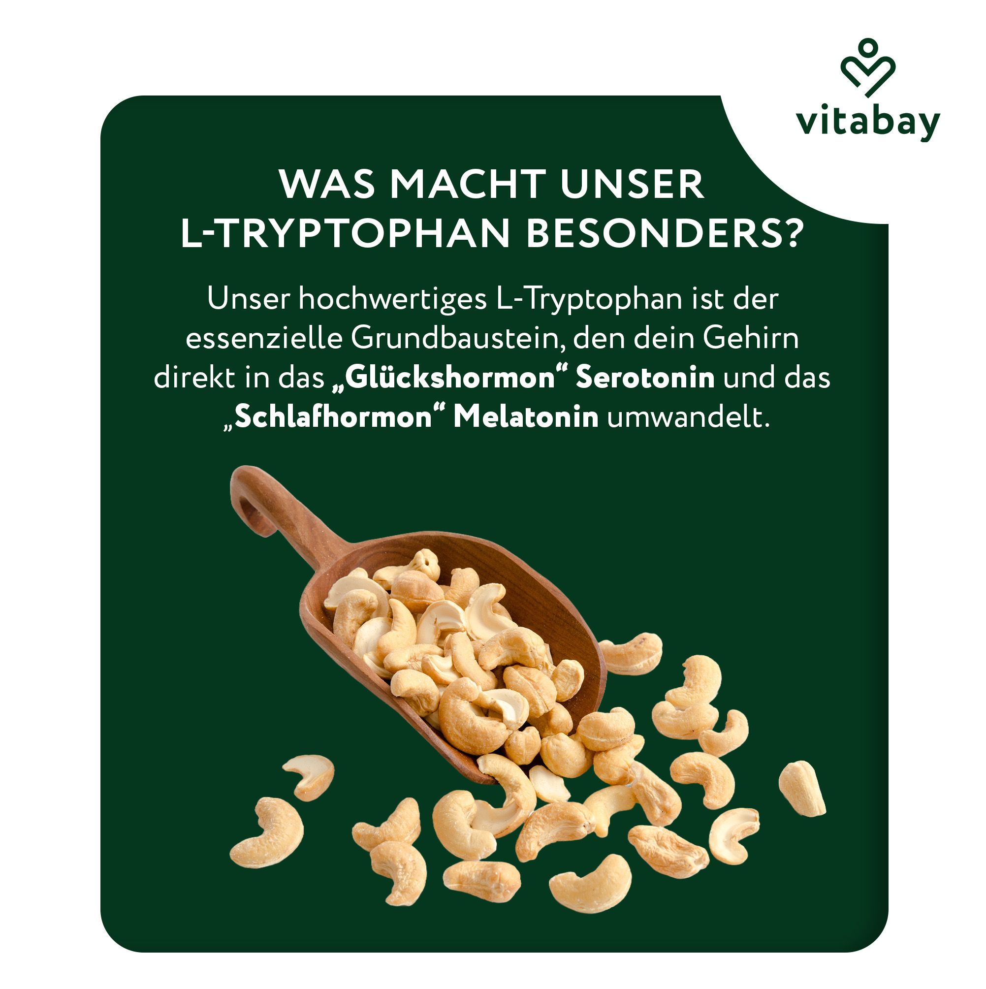 Cashewkerne in einer Holzschaufel, Vitabay L-Tryptophan wird als Baustein des Gehirns dargestellt.