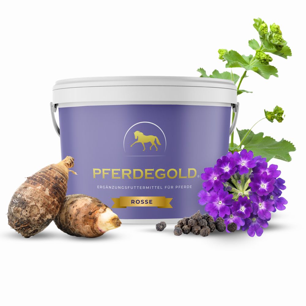 Pferdegold Rosse Ergänzungsfuttermittel für Pferde in einem lila Eimer mit Goldlogo, daneben Wurzeln und lila Blüten.
