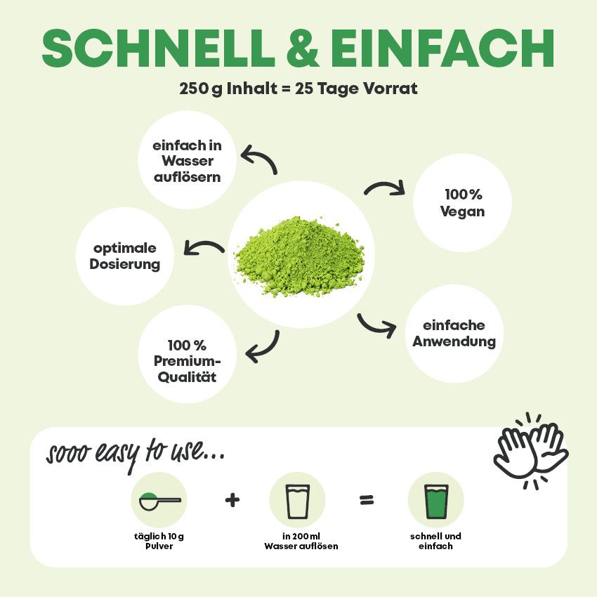 Gerstengrassaft-Pulver in einem Kreis. Anwendungsbeispiele und Dosierungshinweise.