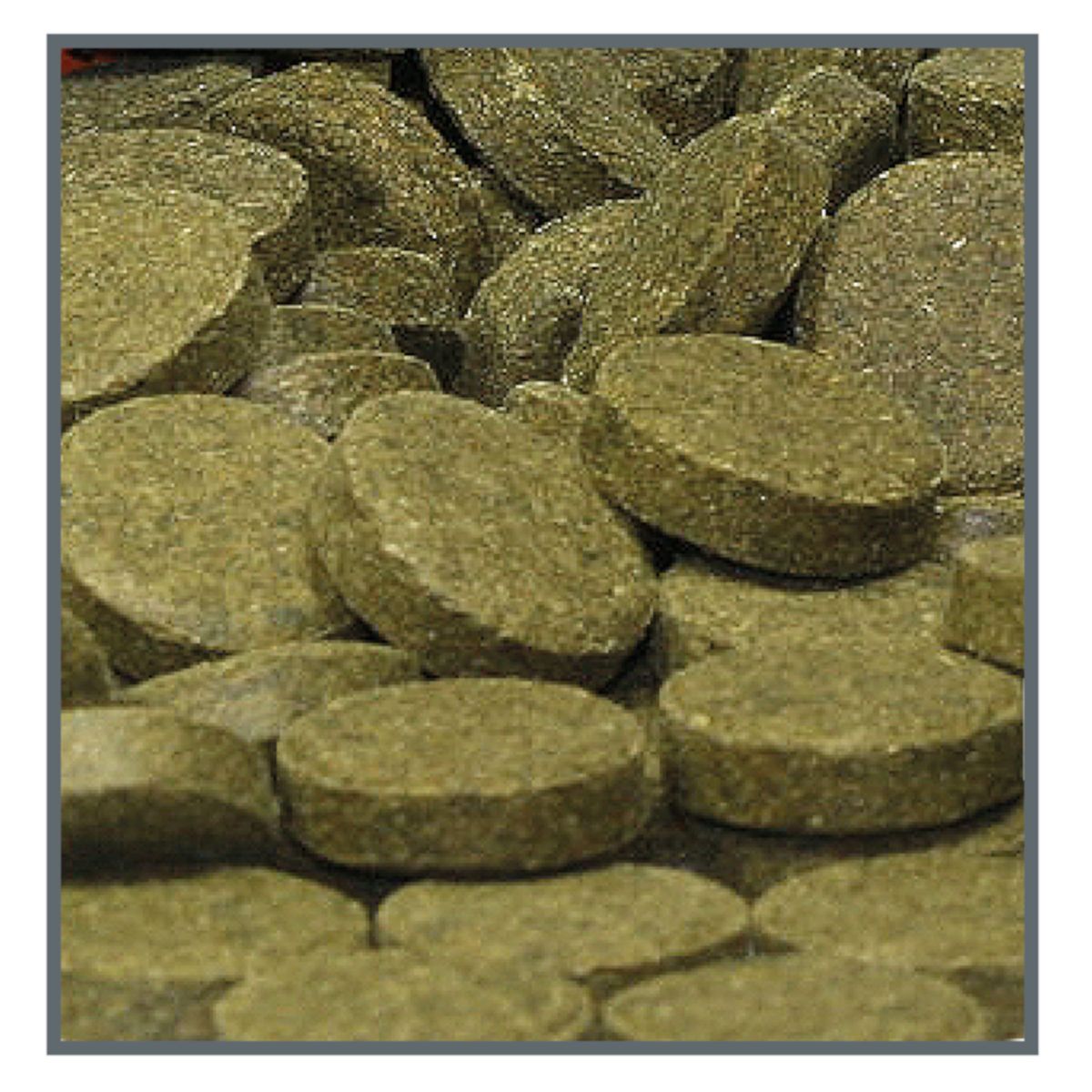 DuplaRin Ground - Futtertabletten für Bodengrundfische