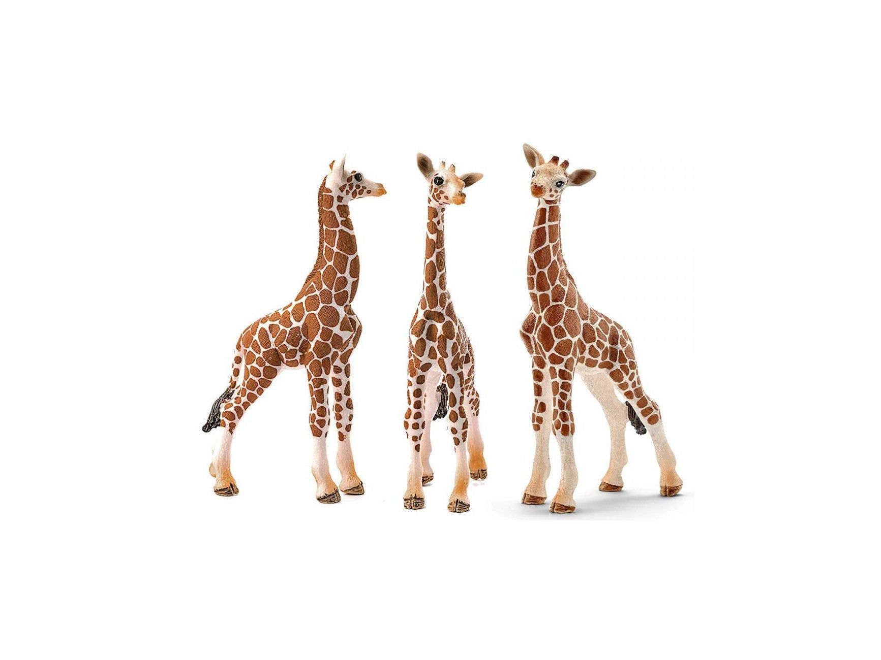 Schleich Safari - Giraffenbaby 1 St