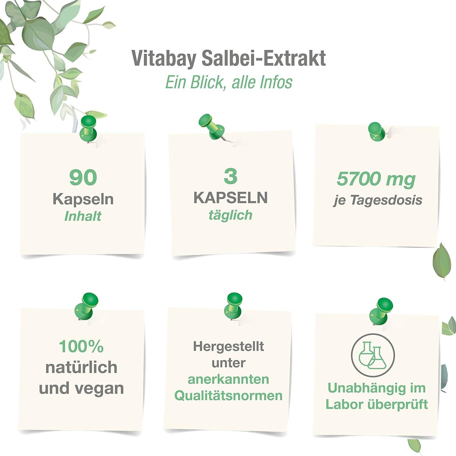 Vitabay SALBEI EXTRAKT 1900 mg