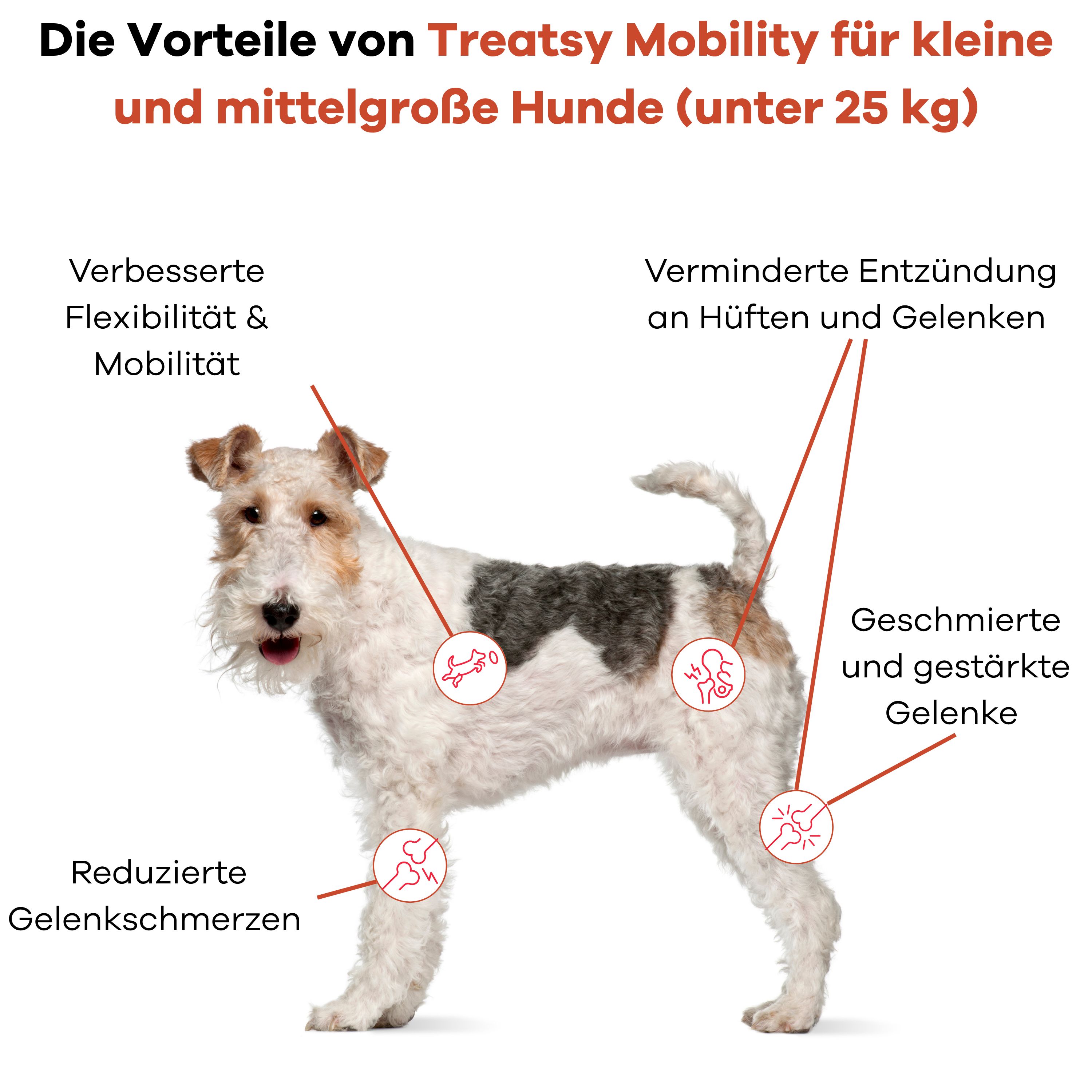 Schema der Vorteile von "Treatsy Mobility" für Hunde unter 25kg.