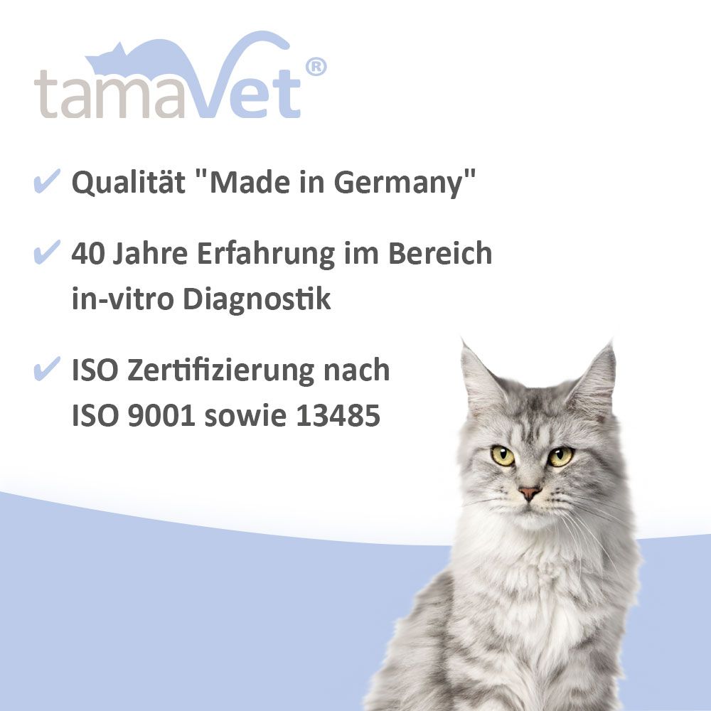 Katze sitzt. Text: Qualität Made in Germany, 40 Jahre Erfahrung, ISO-Zertifizierung.