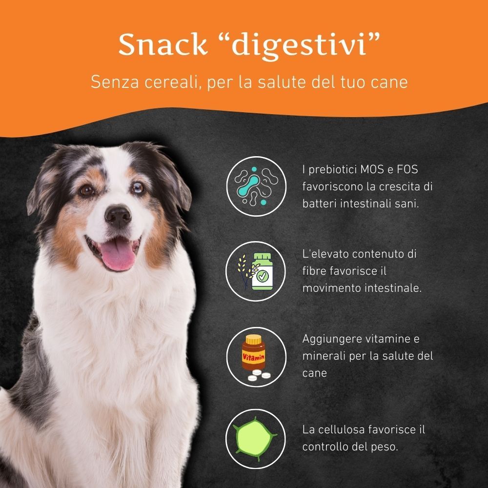Hund mit Text über Verdauungssnacks. Enthält Informationen zu Präbiotika, Ballaststoffen, Vitaminen und Zellulose.