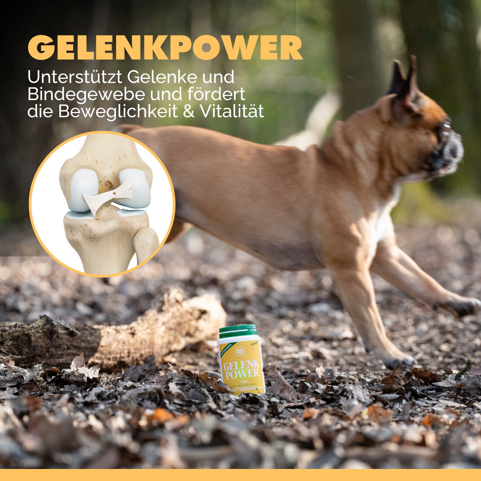PAW WOW Gelenkpower