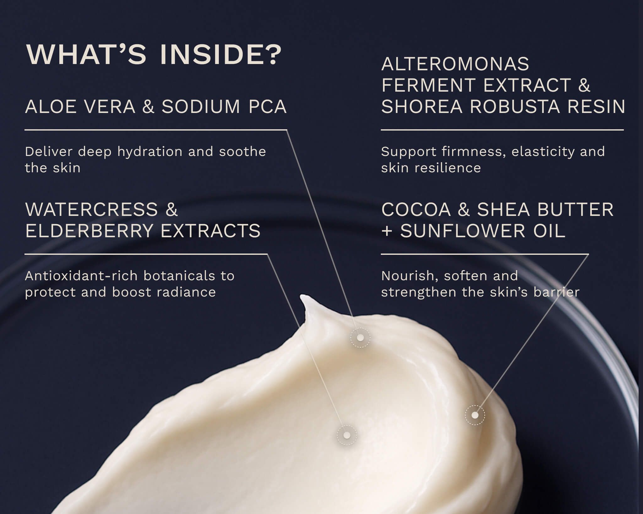 BERGAMOND & BIRCH Regenesis No. 36 – Night Repair Cream