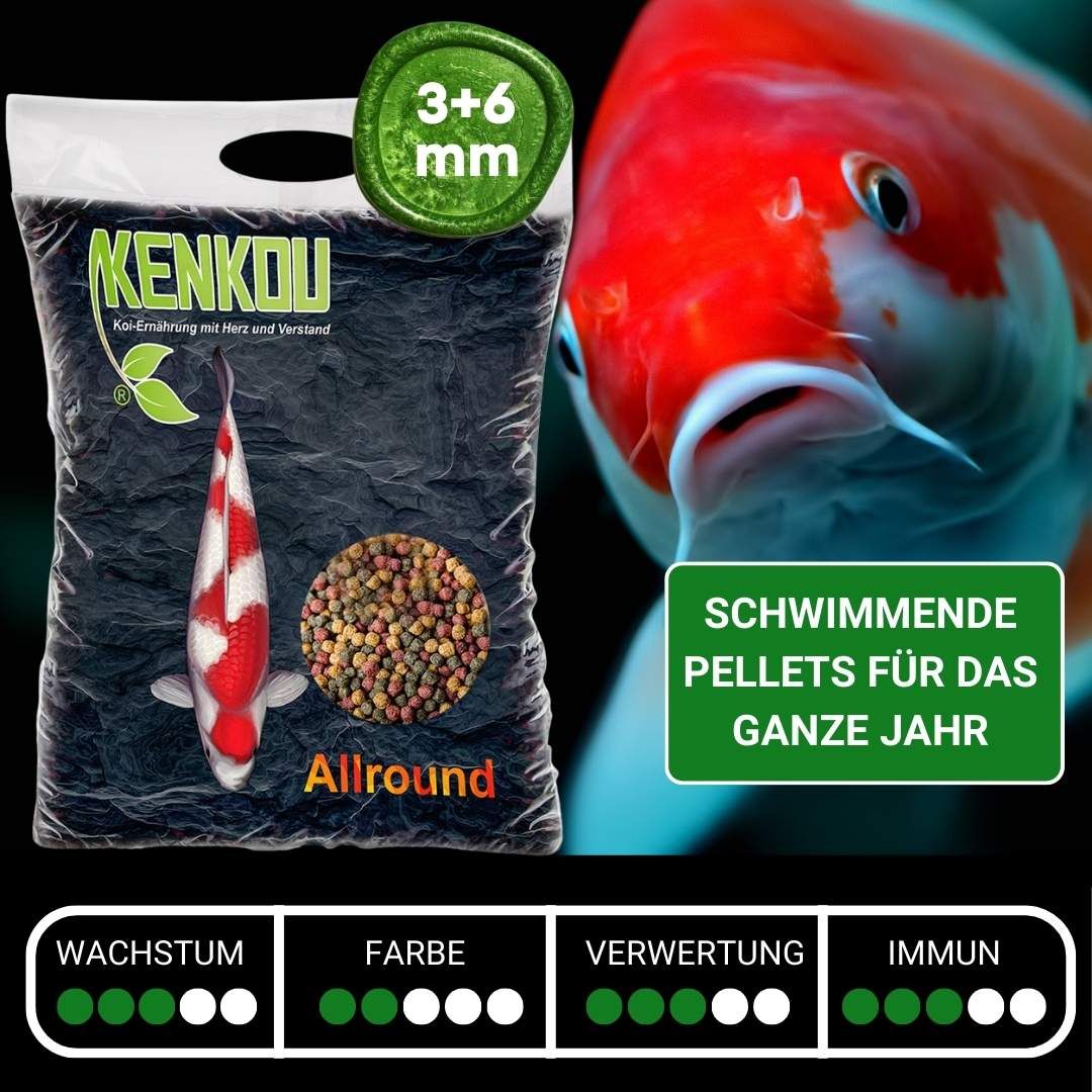 KENKOU Allround