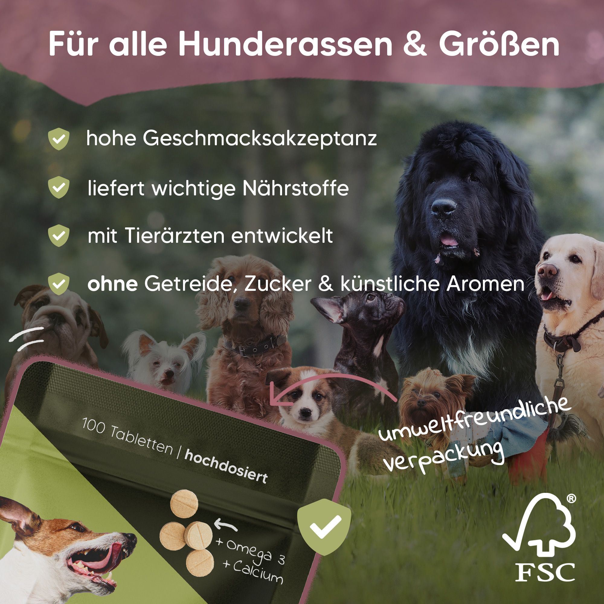 Produktinformationen mit Hunden. Text: Hohe Geschmacksakzeptanz, wichtige Nährstoffe, tierärztlich entwickelt, ohne Getreide.