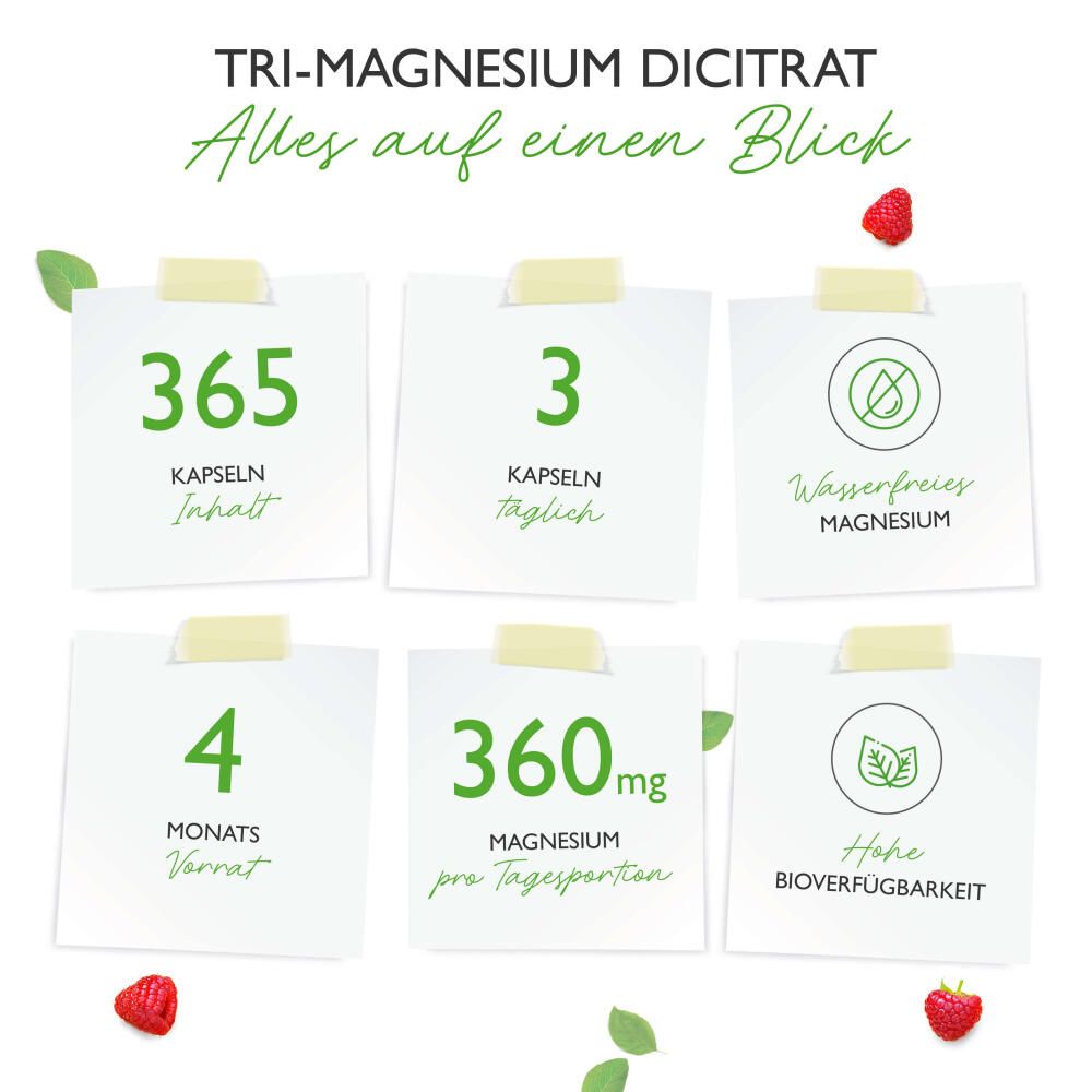 vit4ever Tri-Magnesiumdicitrat